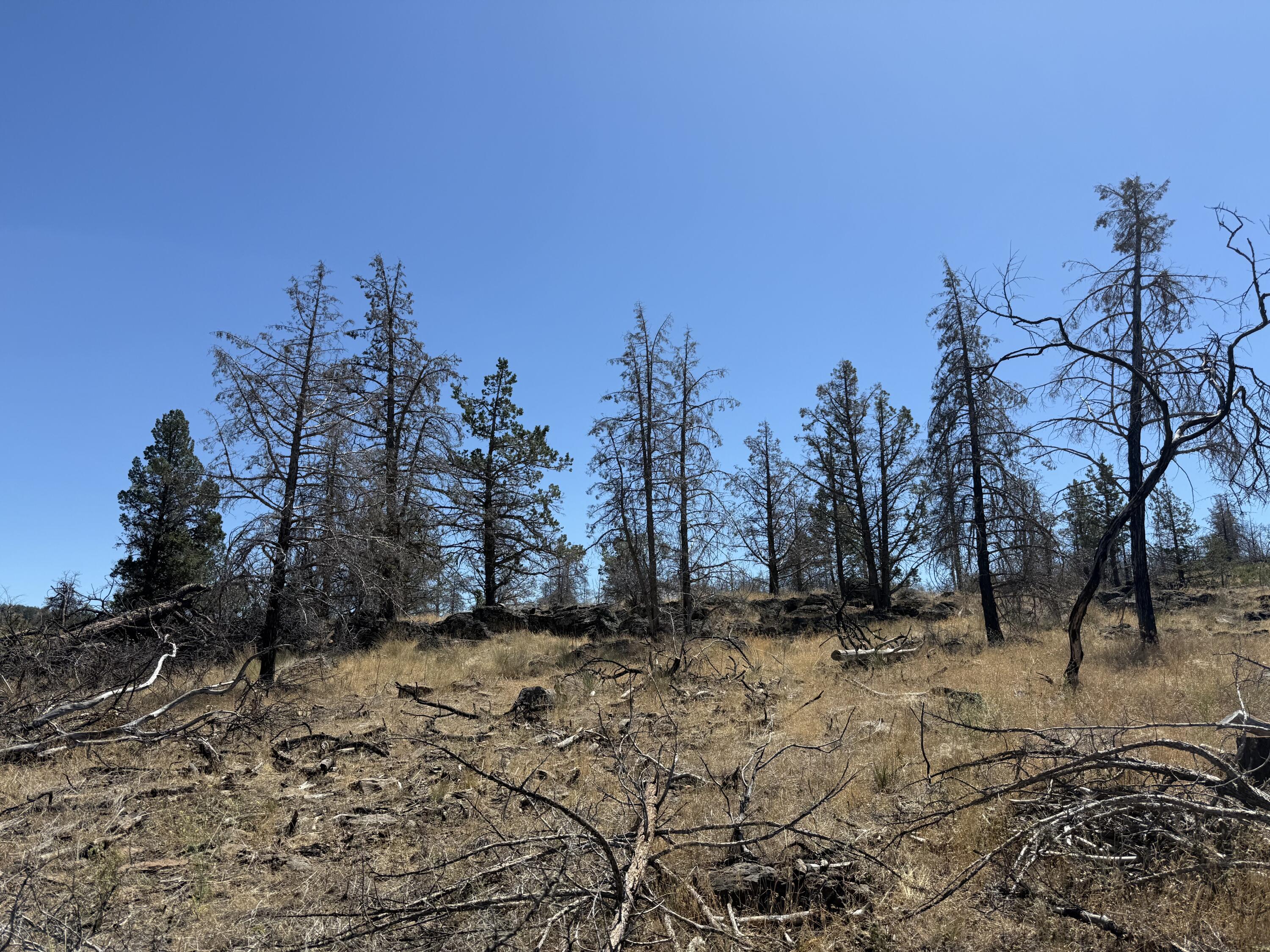 Klamath Falls Forest Estates Hwy 66 Unit Plat 4 - Land