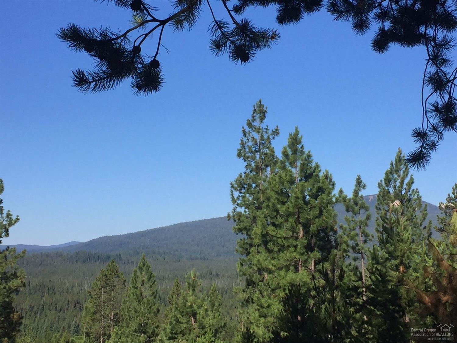 Excellent building site located in Diamond Peaks. This lot has great views of the Cascade Mountain Range, and easy access to forestland for all your outdoor activities. Roads are paved and maintained all year. Water available and approved for standard septic