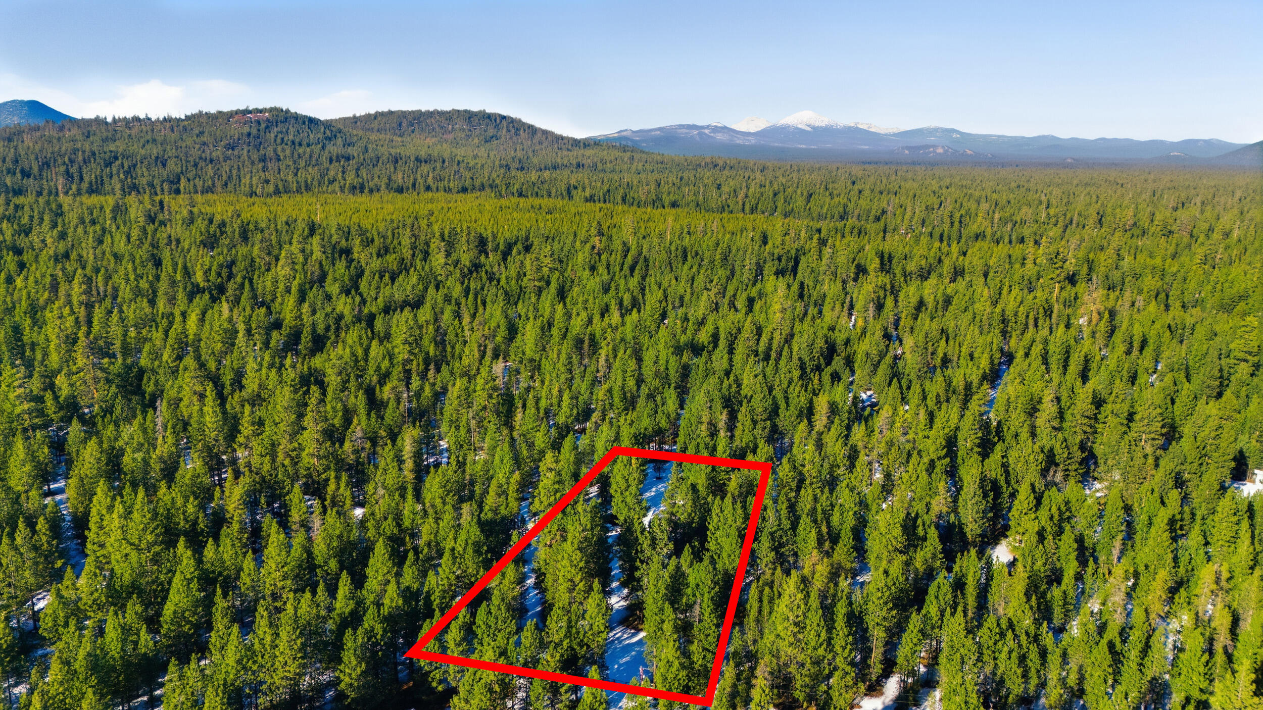 Ponderosa Pines - Residential