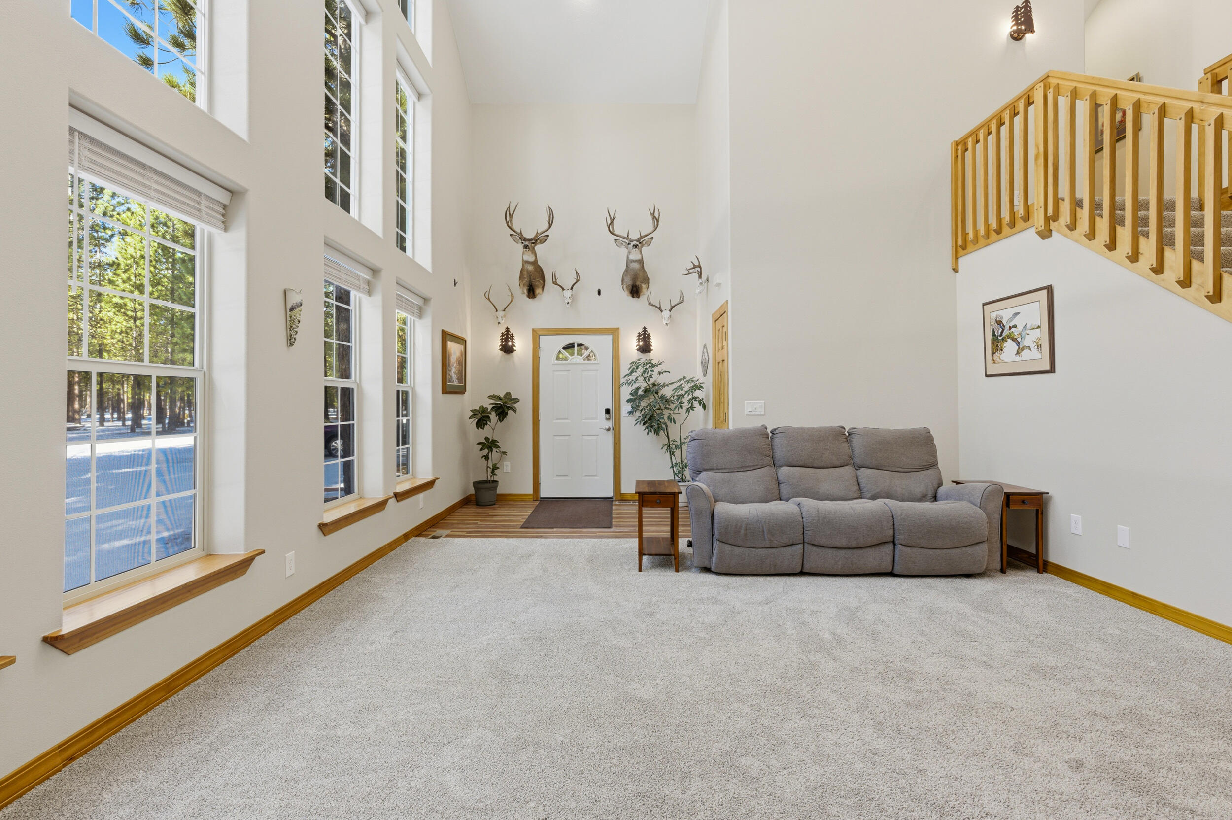 Ponderosa Pines - Residential