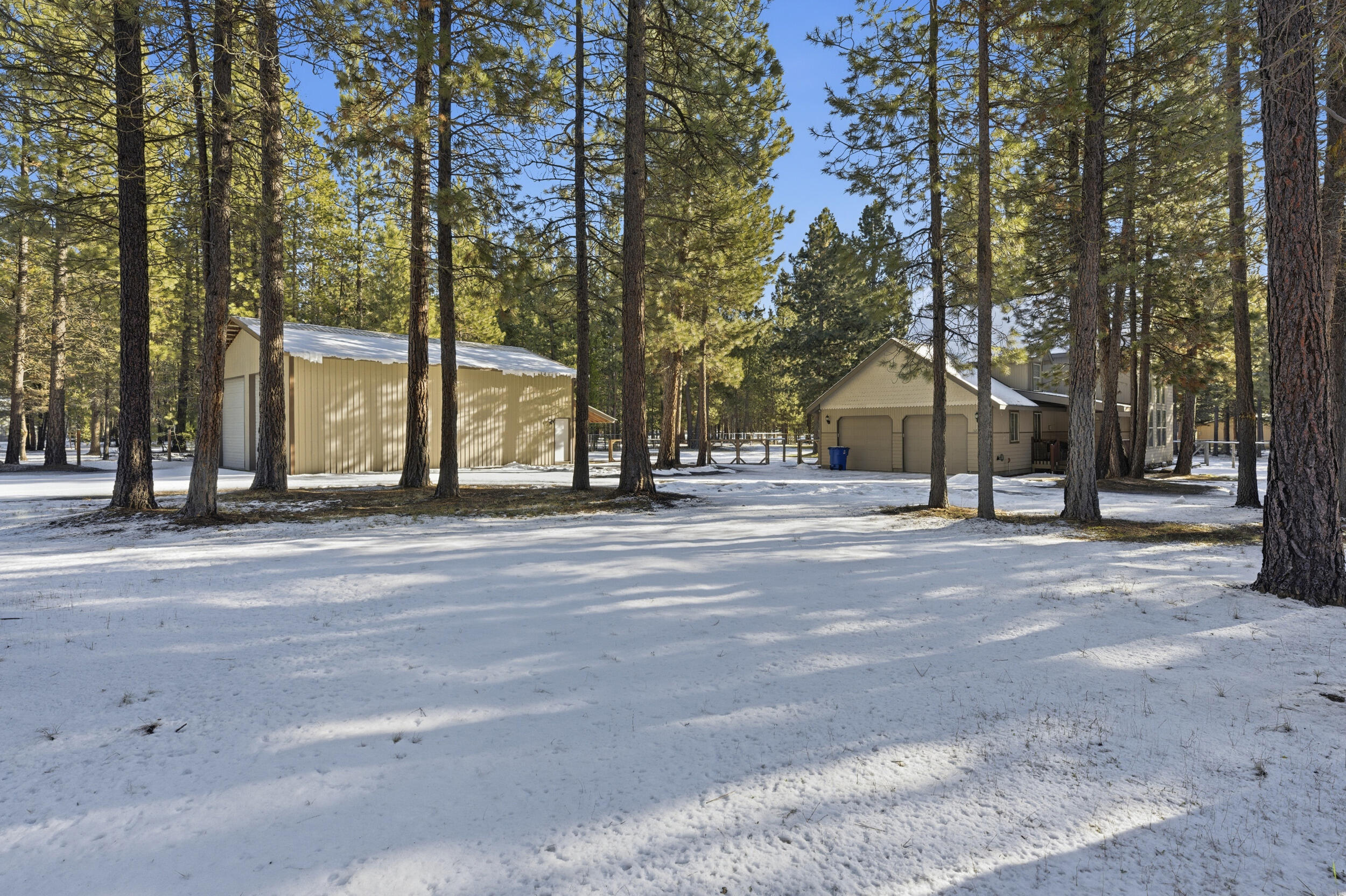 Ponderosa Pines - Residential