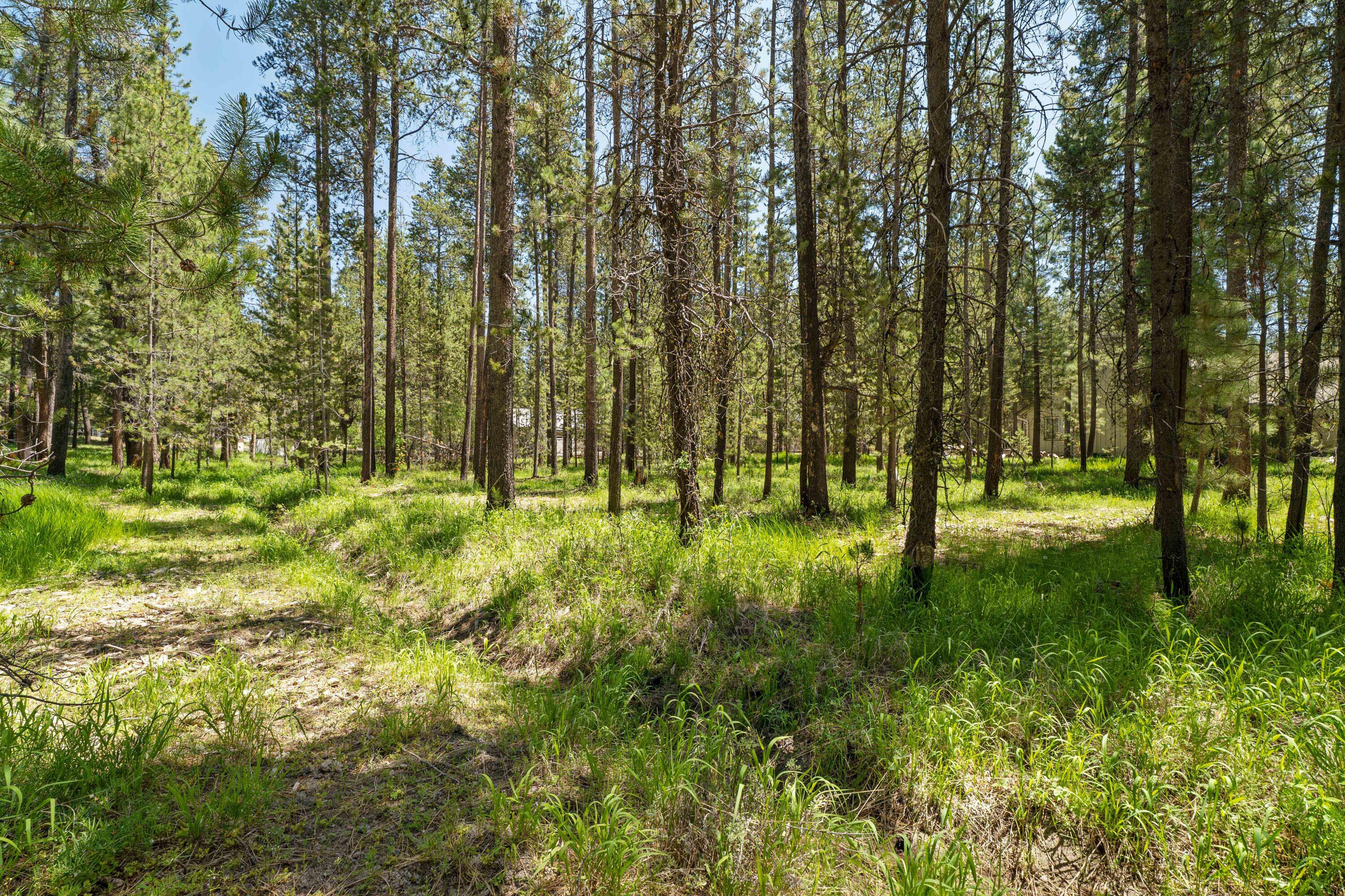 River Meadows - Land