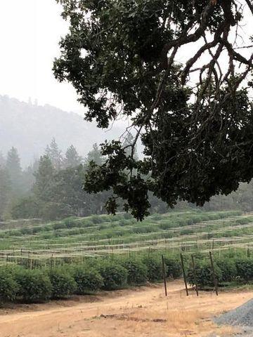 Apple Farm Estates Phase 1 - Land