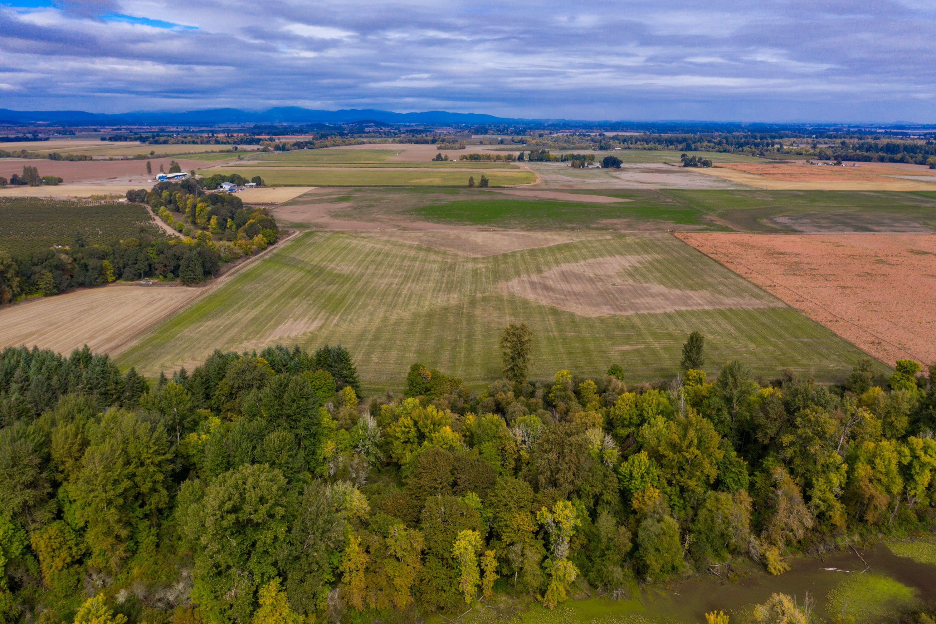 Monroe - Land