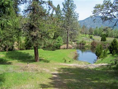 Incredible mountain views, creek frontage and pond on seasonal Bannister Creek. Beautiful level lot with mature trees and well in the north valley area less than 10 miles to Grants Pass and 3 miles to the much anticipated Paradise Ranch Golf Course. Bannister Creek is shaping up to be a wonderful subdivision of extraordinary homes. Custom home to be built by Jacoby Homes, Inc. winner of the favorite Contractor/House Builder award for 2006 by the citizens of Grants Pass!