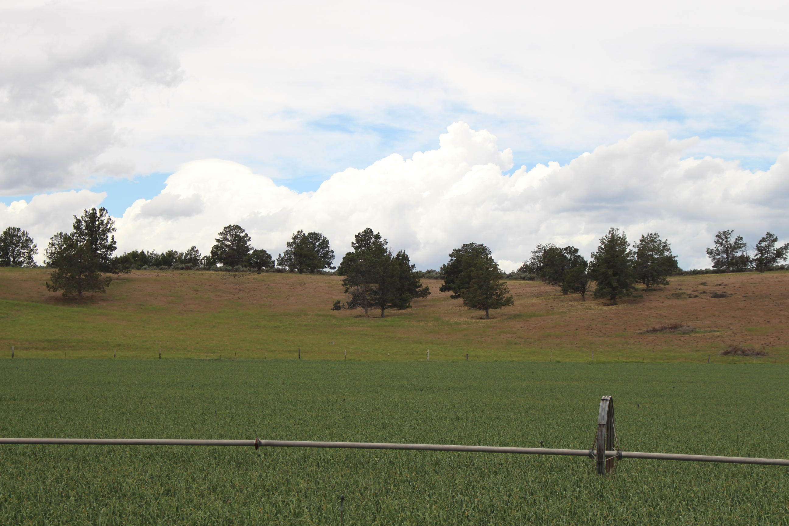 Merrill - Land