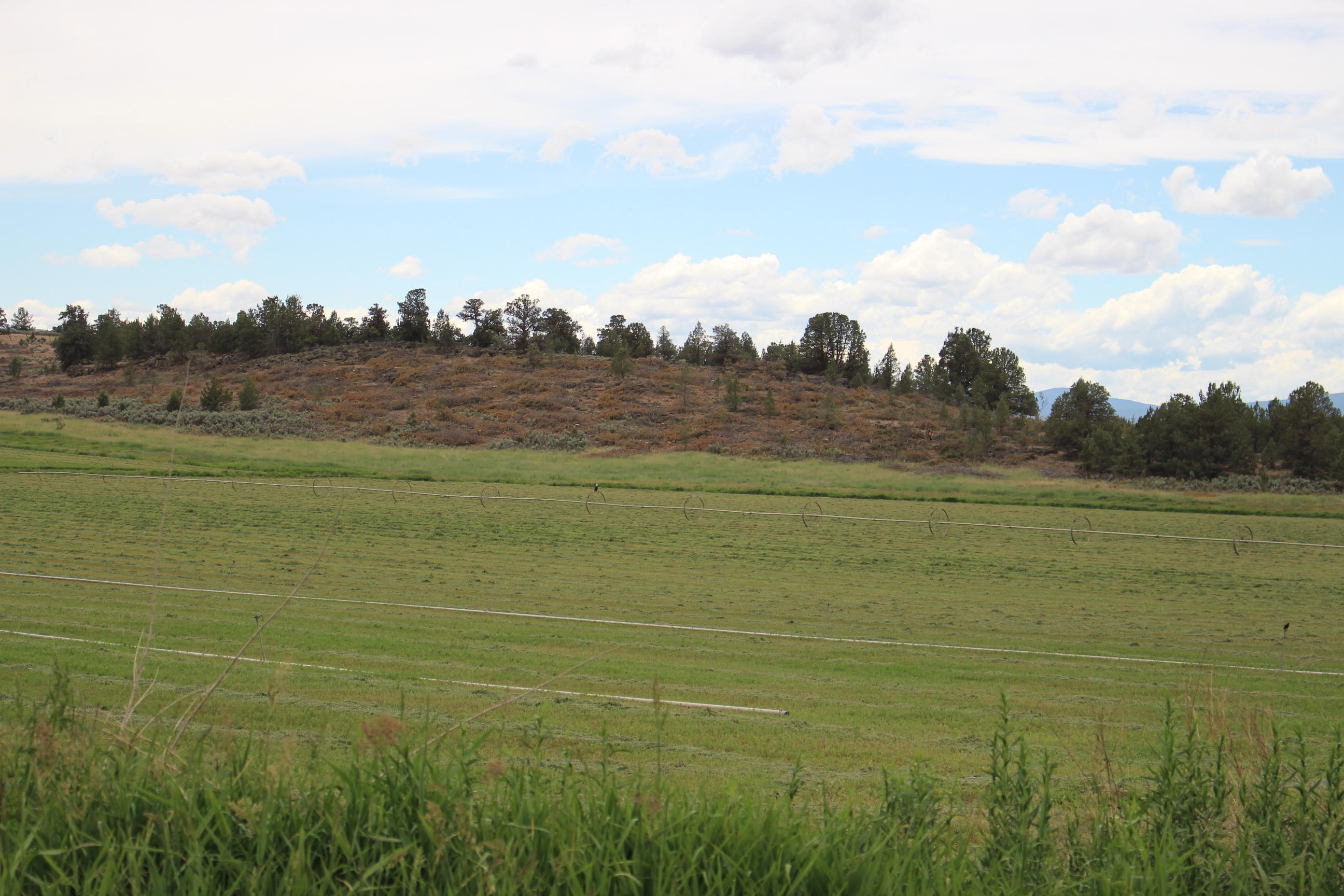 Merrill - Land