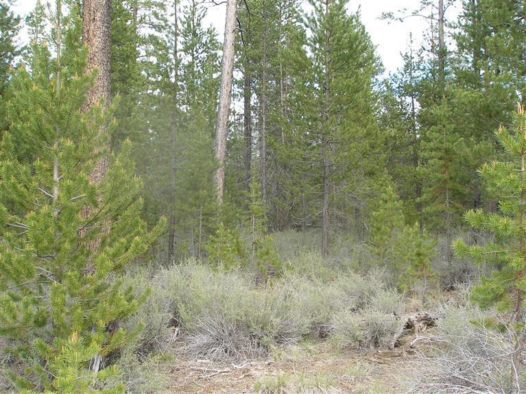 Enjoy privacy & elbow room on large treed acreage between Sunriver & LaPine. Possible mountain view with selective tree cutting. Build int he center & enjoy your space! Owner will carry with large down & excellent credit.