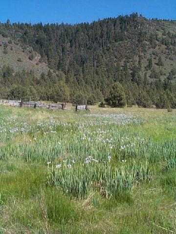 Chiloquin - Land