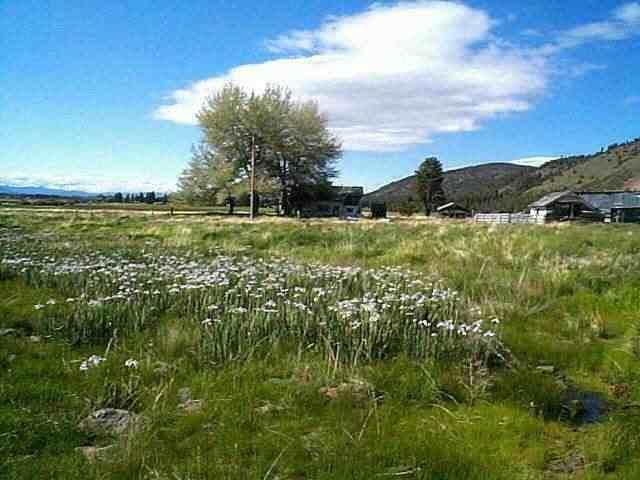 Chiloquin - Land
