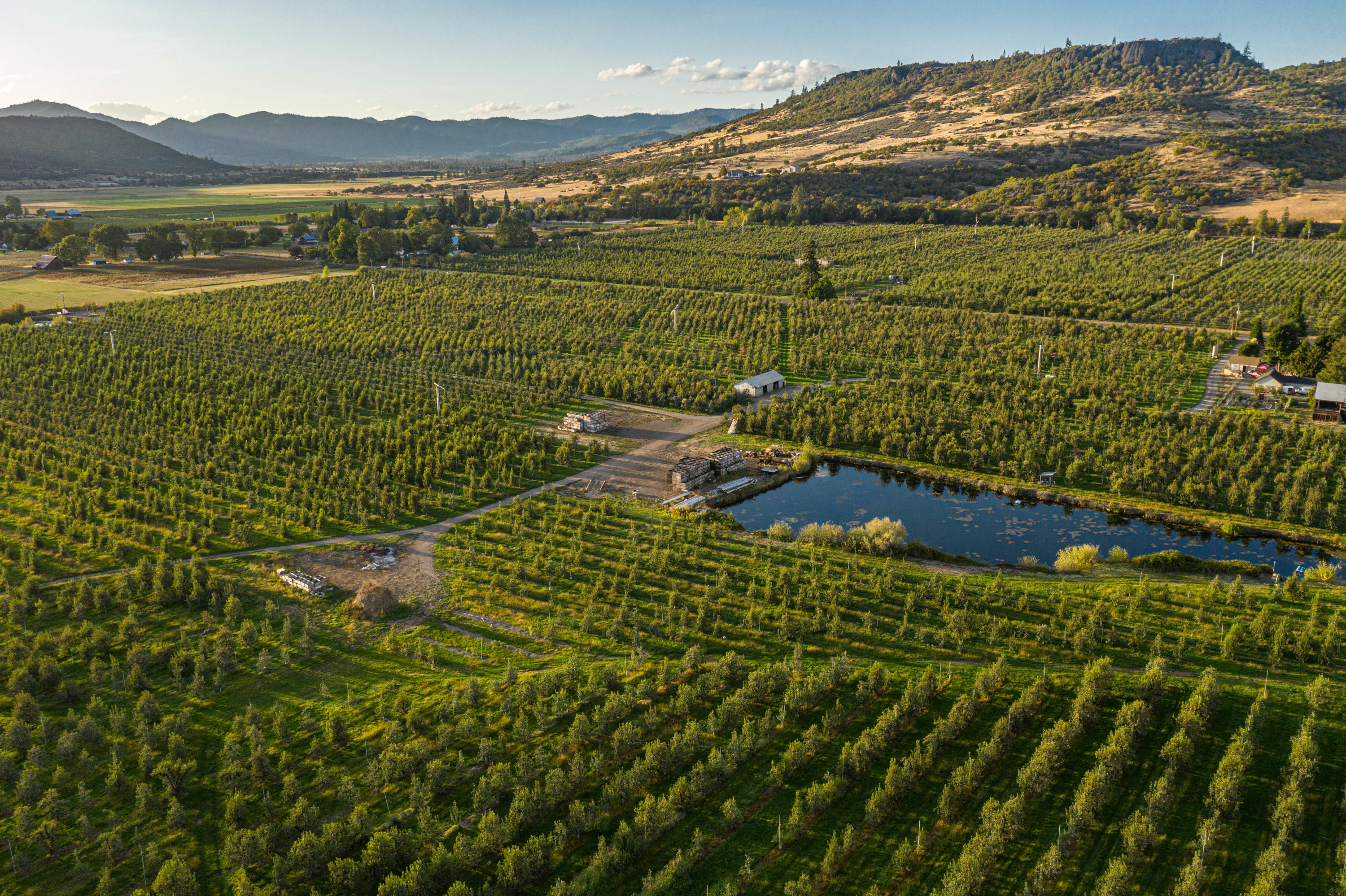N/A - Farm