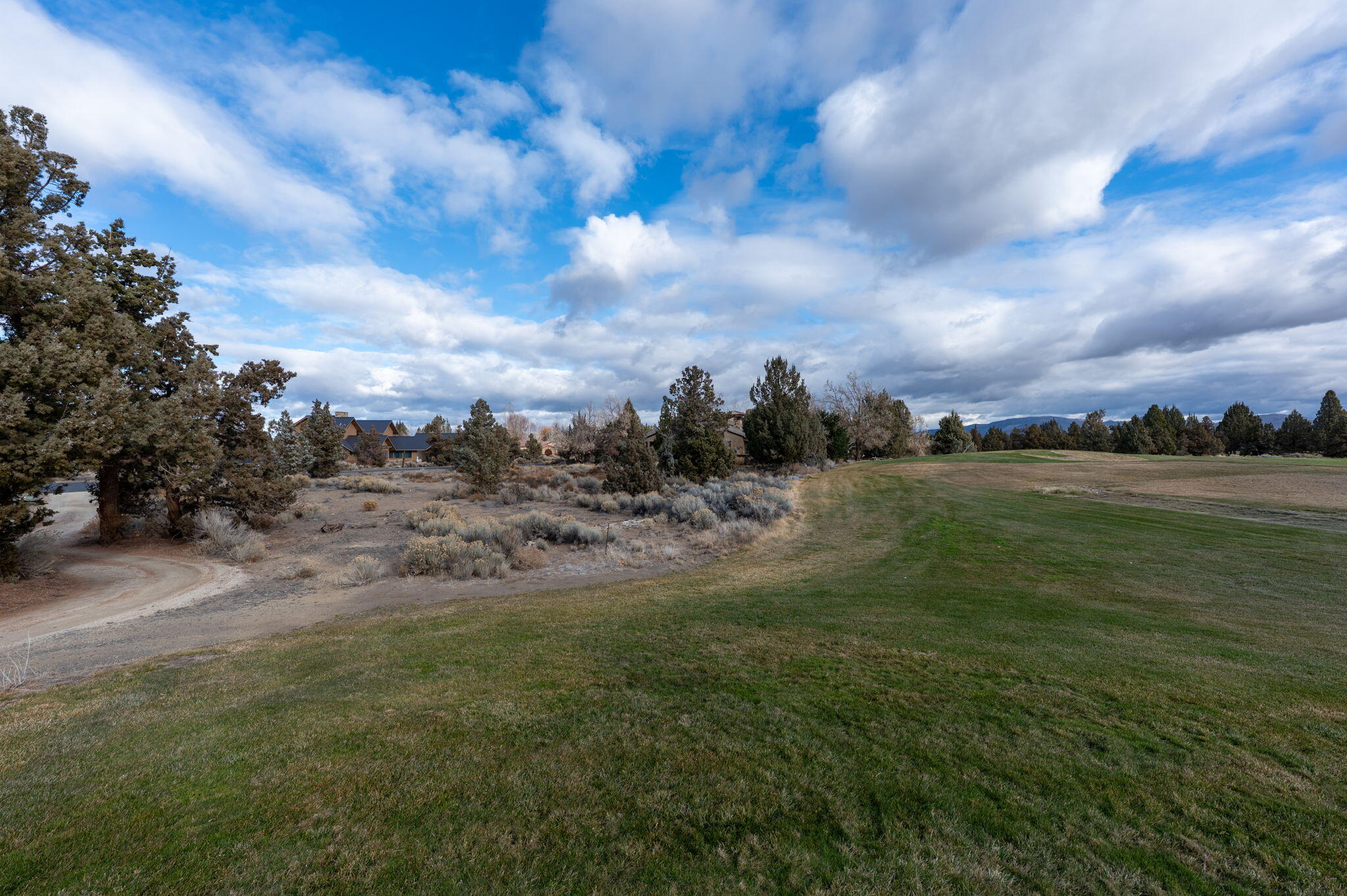 Pronghorn - Land