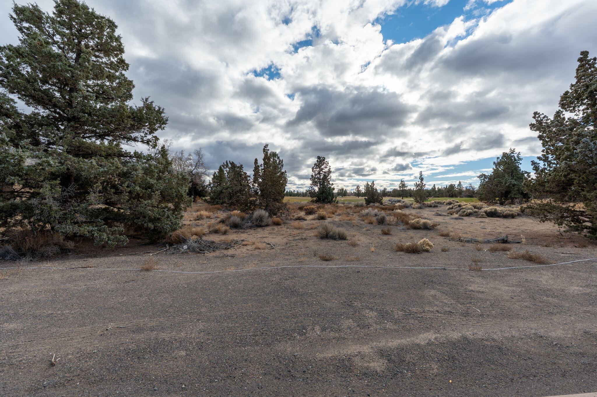 Pronghorn - Land