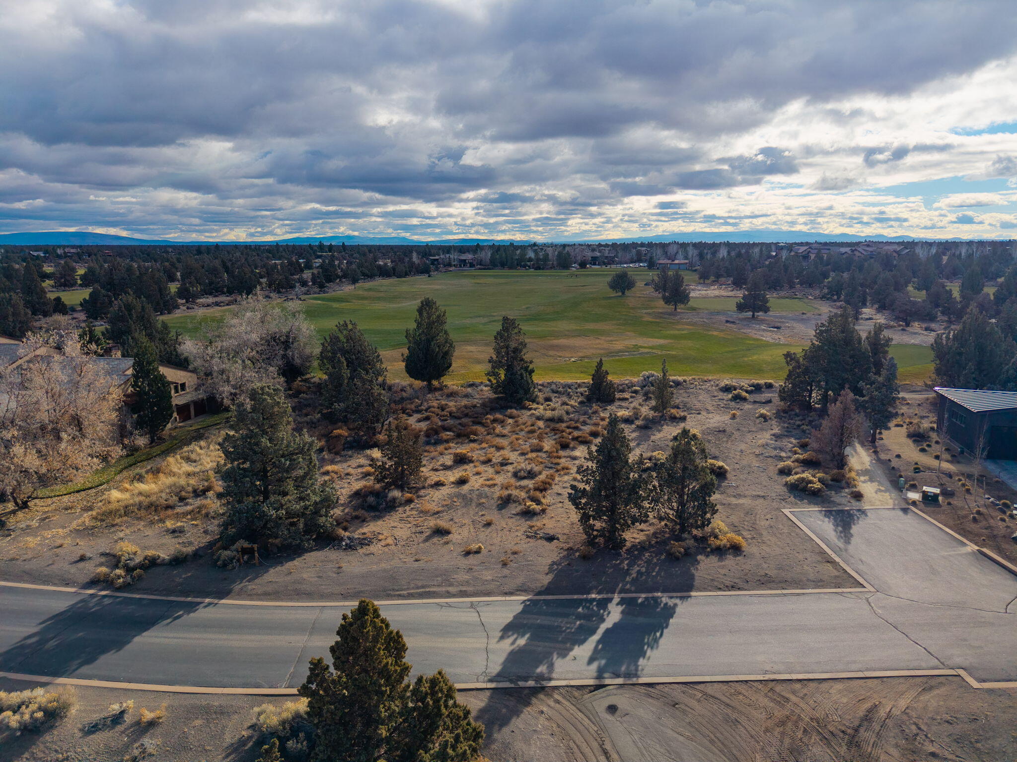 Pronghorn - Land