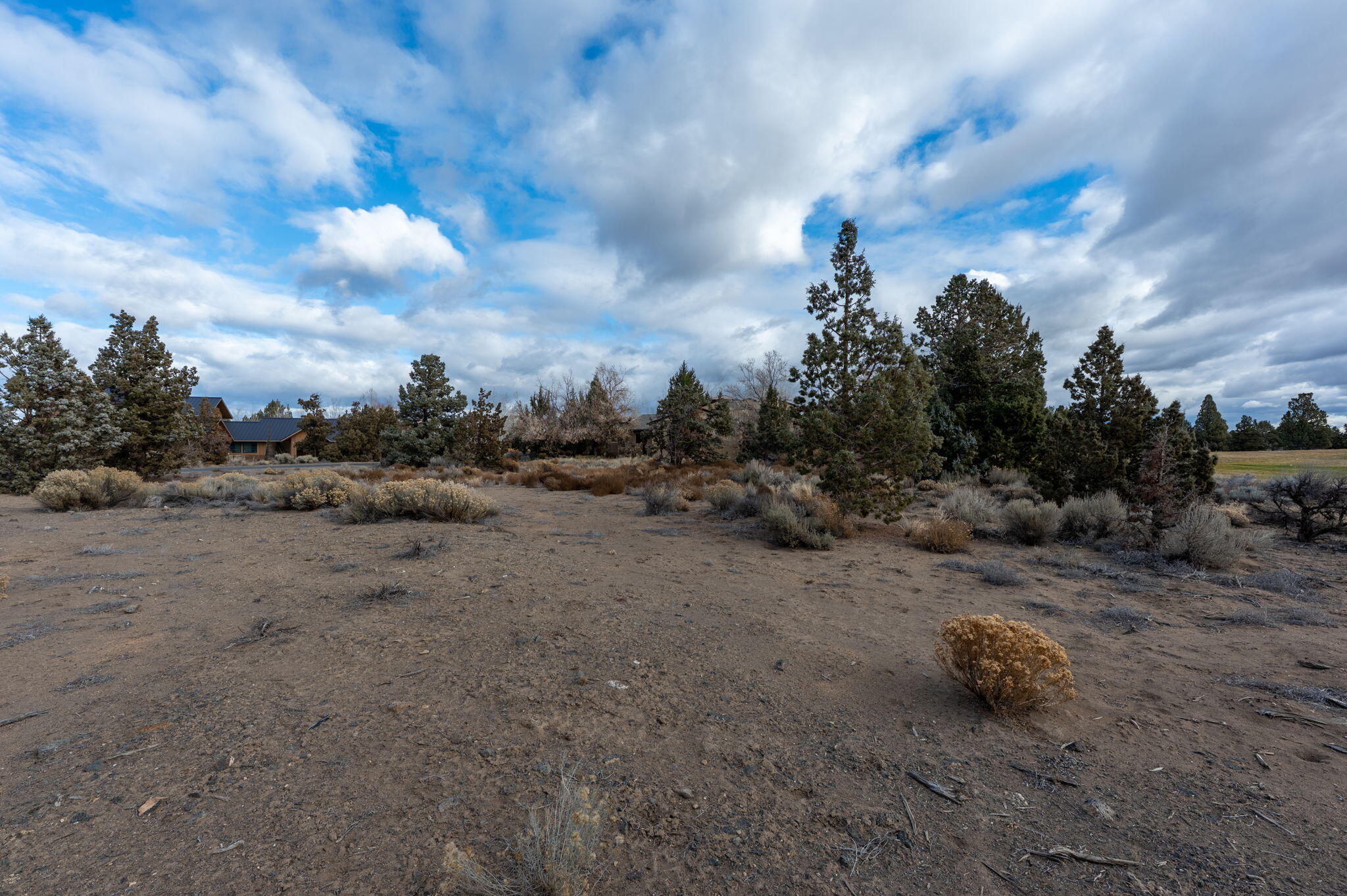Pronghorn - Land