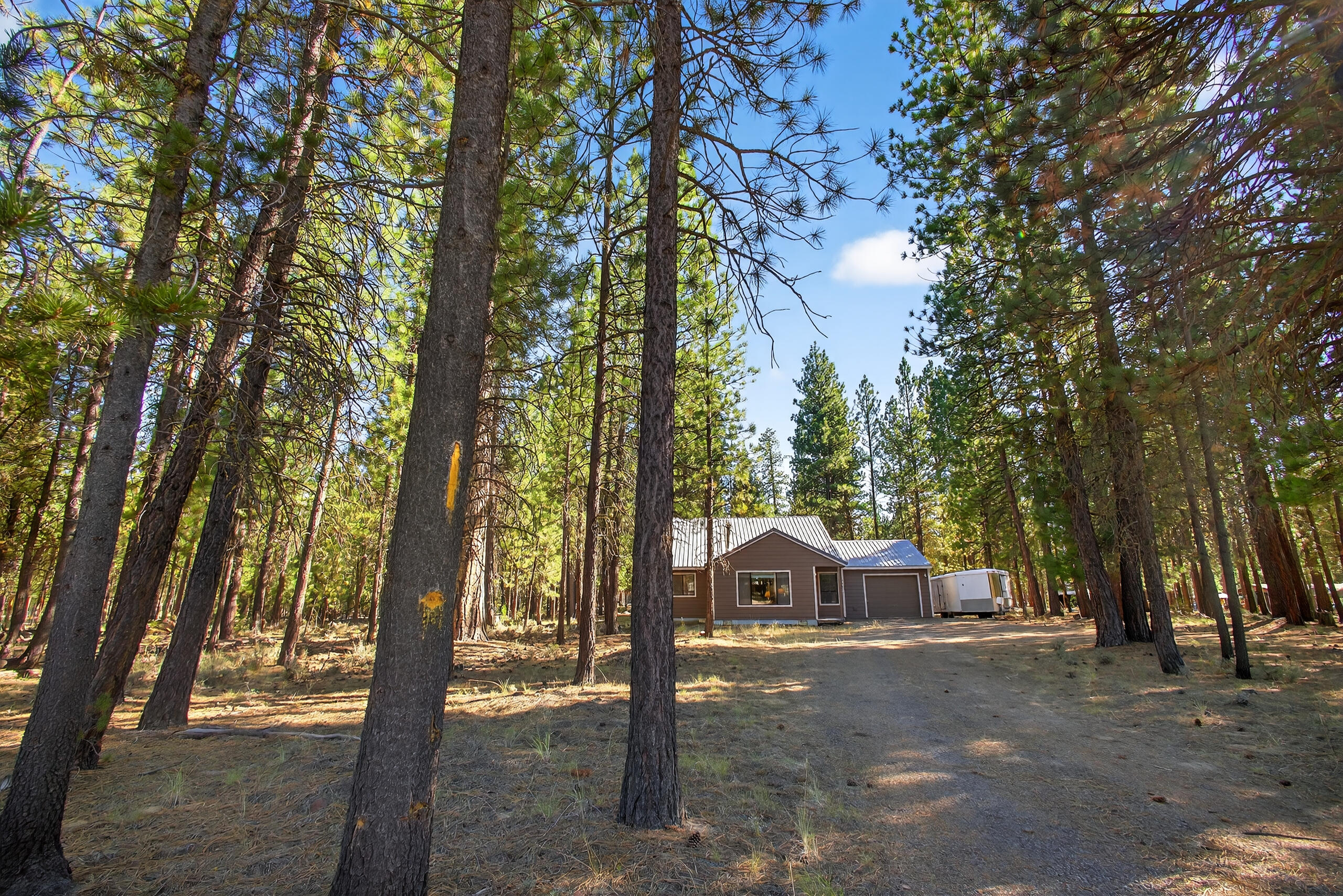 Ponderosa Pines - Residential