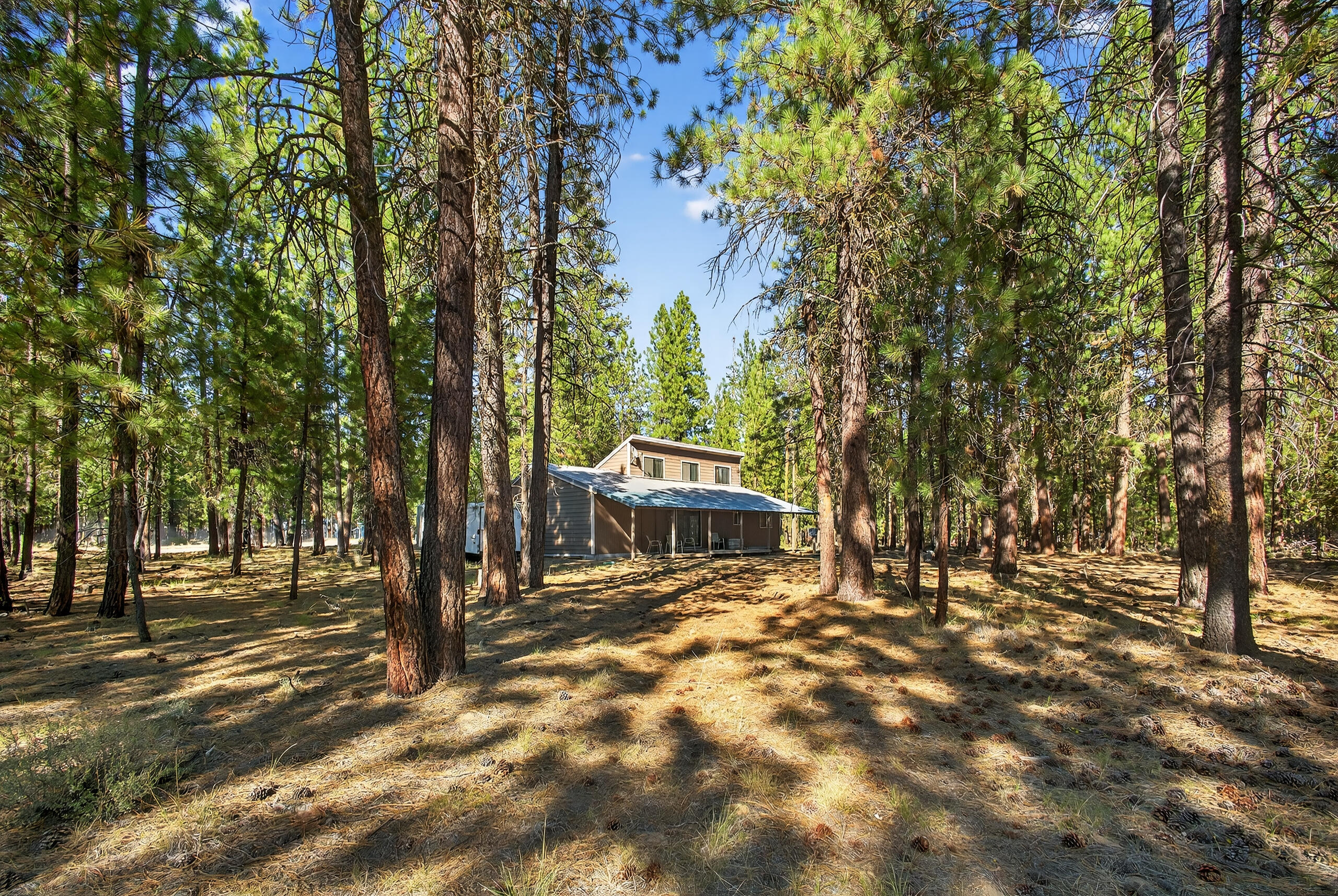 Ponderosa Pines - Residential