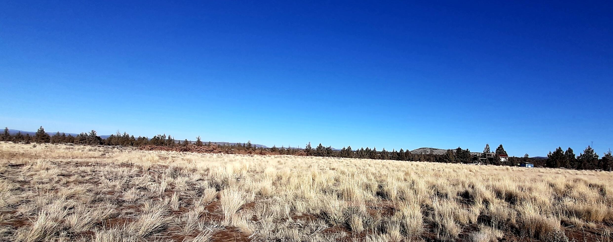 Juniper Acres - Land