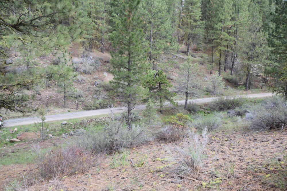 Klamath Forest Estates - Land
