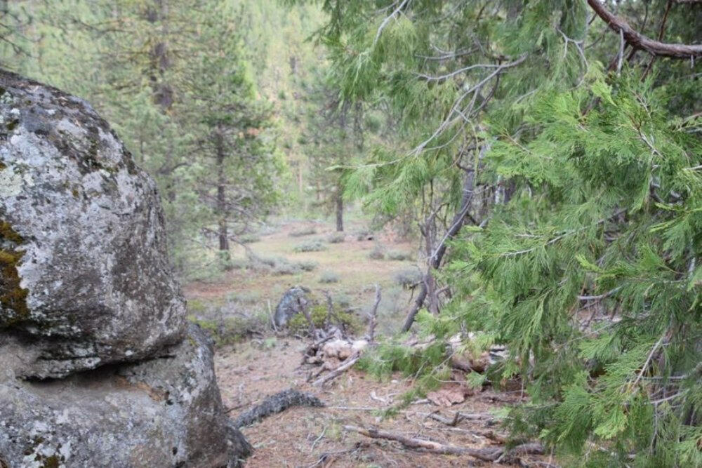 Klamath Forest Estates - Land