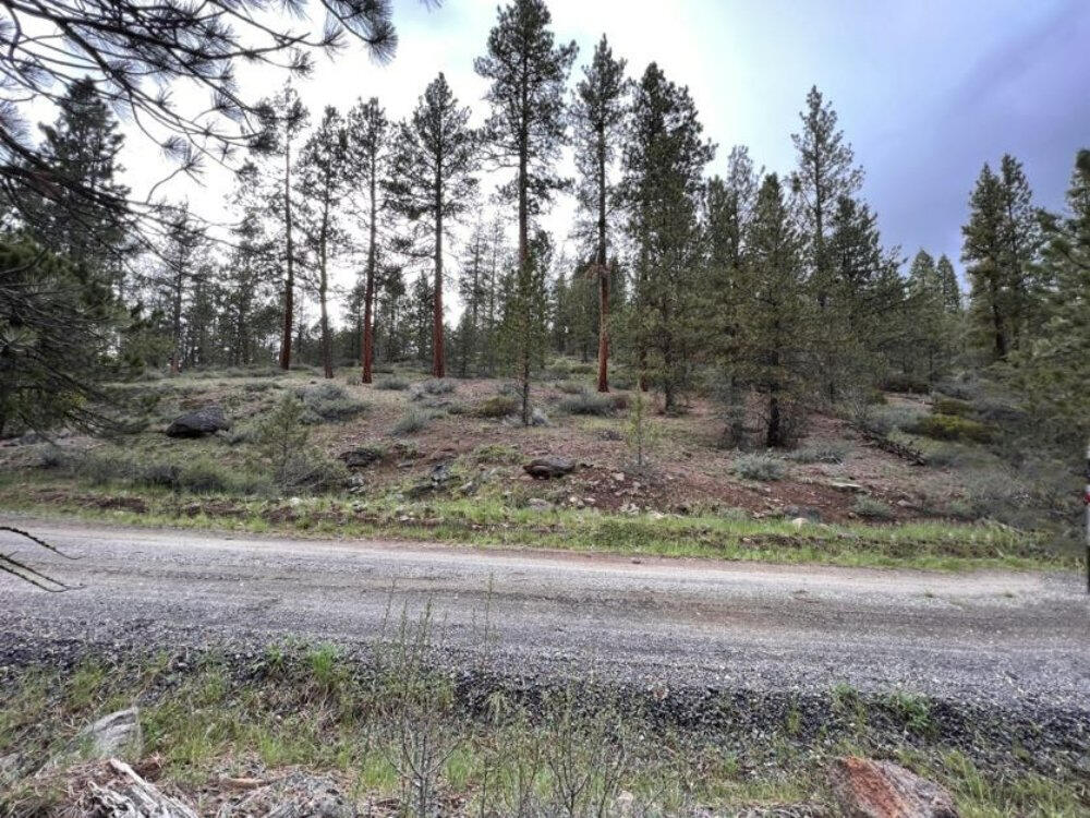 This gently sloping, off-grid lot in Klamath Falls Forest Estates is a 7.54 acres property. Whitetail Lane is the only way to get there. There are some beautiful suitable building locations among the pine and juniper trees. The Modoc Billy Creek runs through the Southern portion of the property. The flat terrain on the northern portion of the lot offers the natural beauty of Klamath Falls Forest Estates as well as the peace and quiet of the area. This property has a lot of potential.

There is power in the neighborhood. You can use a well for water and establish a septic system. The property is a large lot with mature pine trees, sagebrush, and stones on the edge of a somewhat steep incline. It levels out and there don't appear to be as many trees once you reach the top. Across the road from this property, there was a small shack. The road to Whitetail Lane (Kodiak Lane) is a good dirt road, but it contains a steep stretch that may be difficult to navigate in the winte