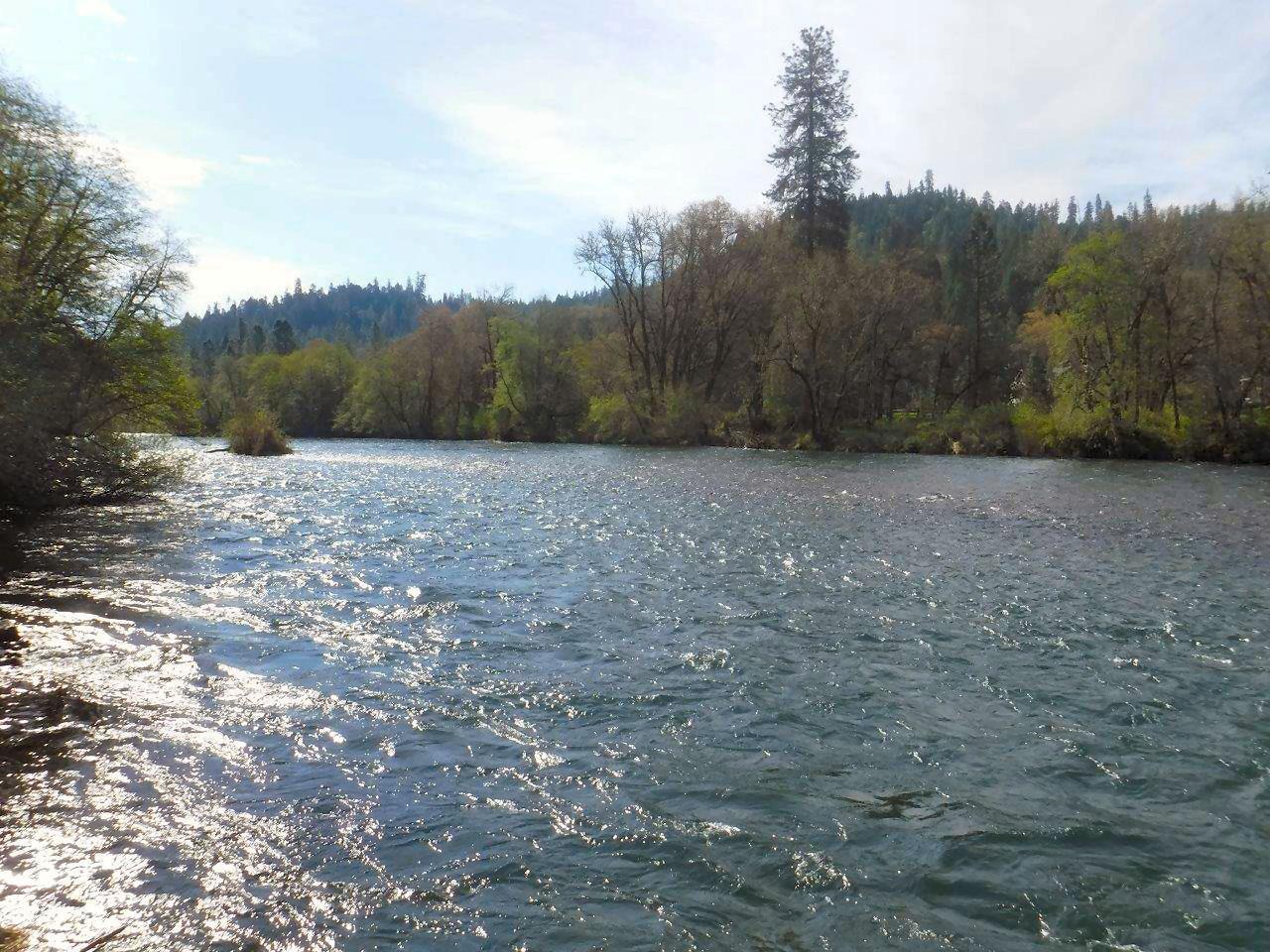 Great North Valley location on the Rogue River and above the valley fog! Minutes to Lost Creek Lake and year round outdoor recreation. Three tax lots totaling 4.03-acres, zoned residential. All three tax lots are buildable. Build your retirement or recreational home here.