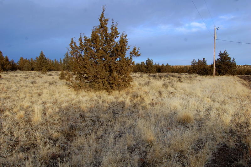 Ochoco Land + Livest - Land