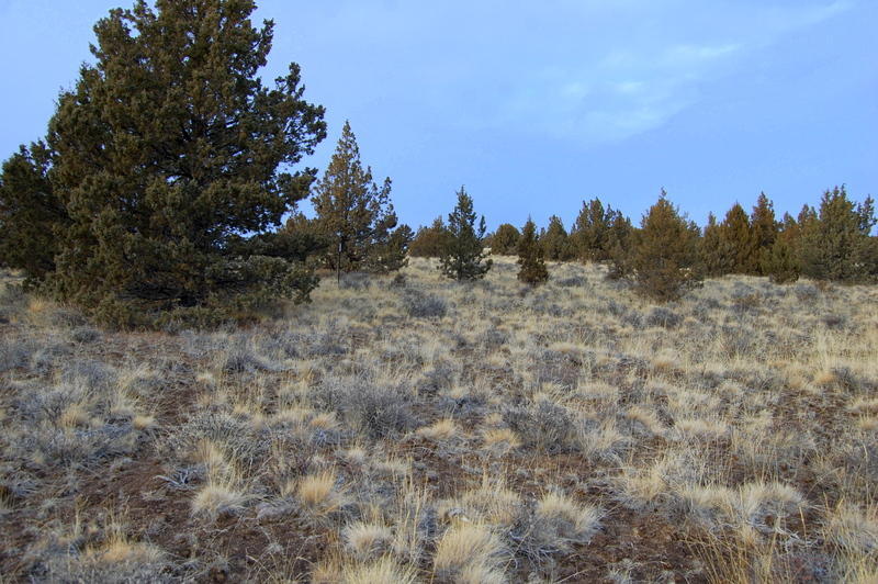 Ochoco Land + Livest - Land