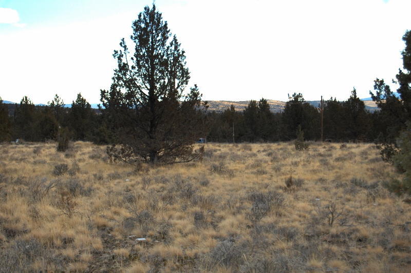 Ochoco Land + Livest - Land