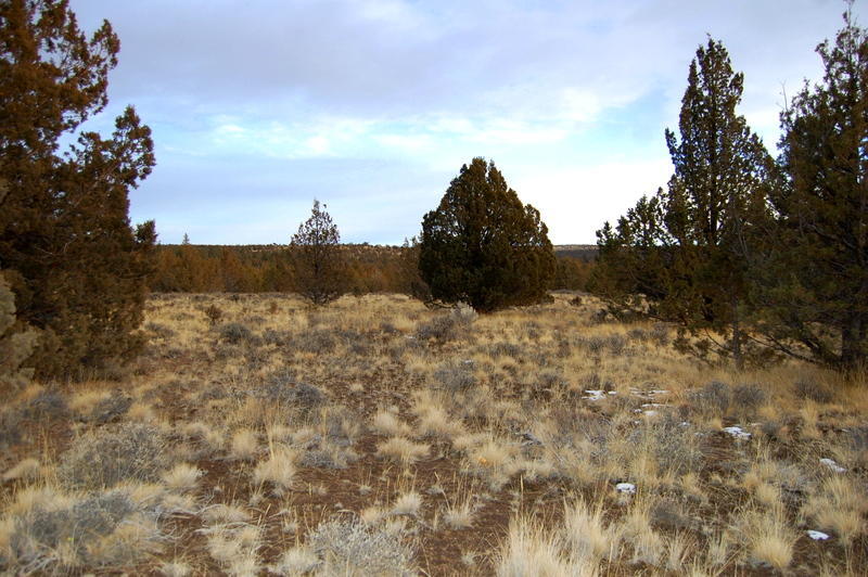 Ochoco Land + Livest - Land