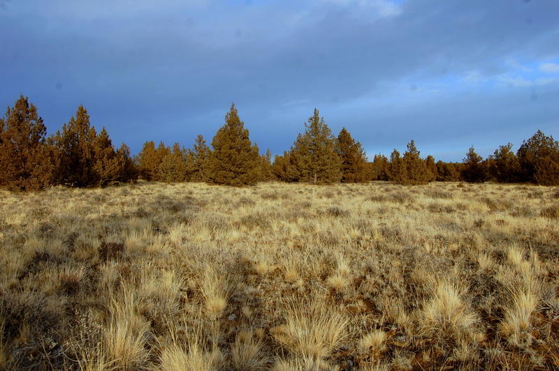 Ochoco Land + Livest - Land