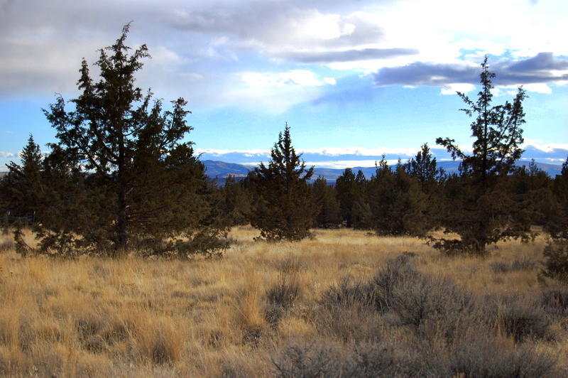 Ochoco Land + Livest - Land