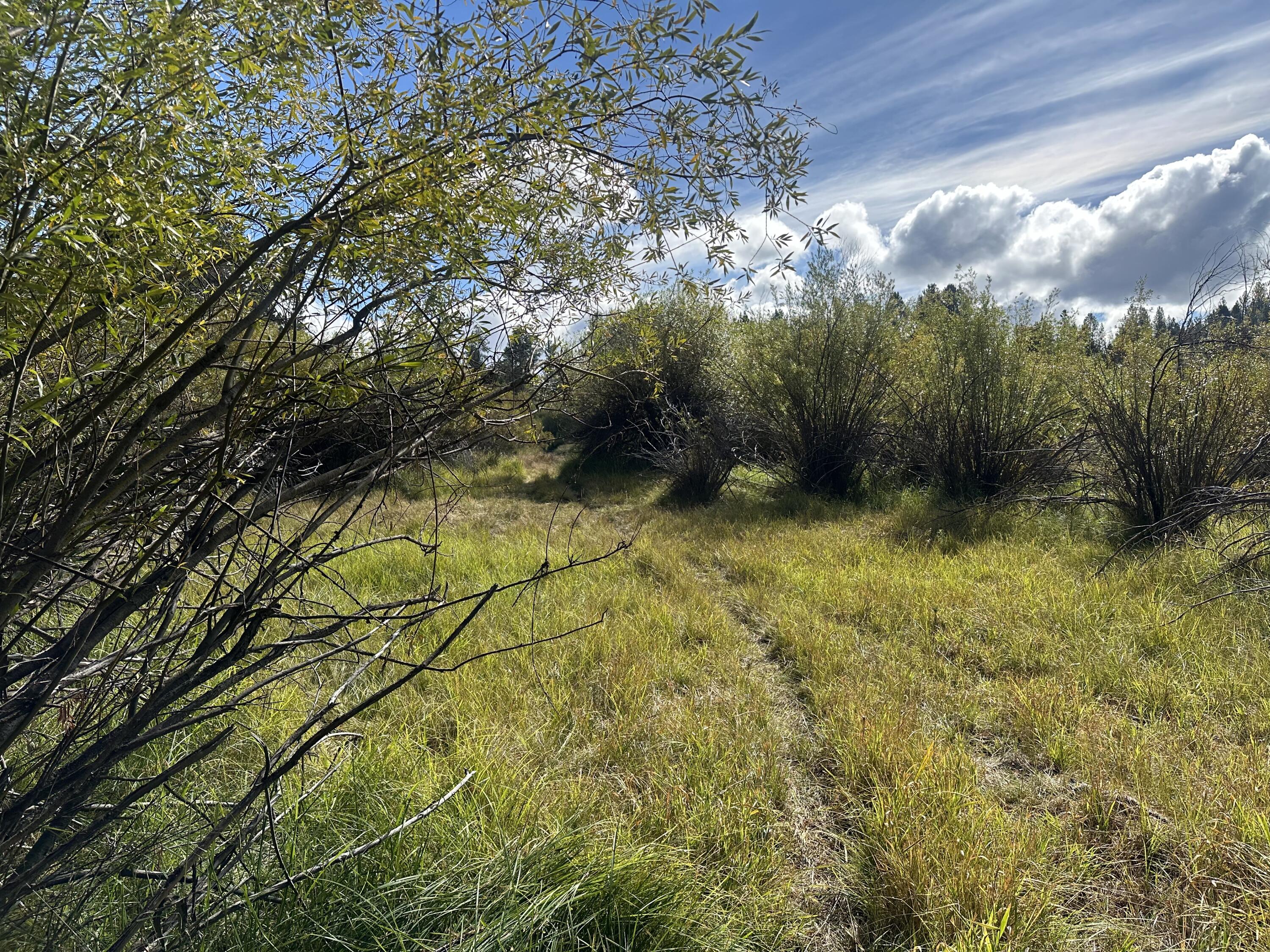 Lapine Acres - Land