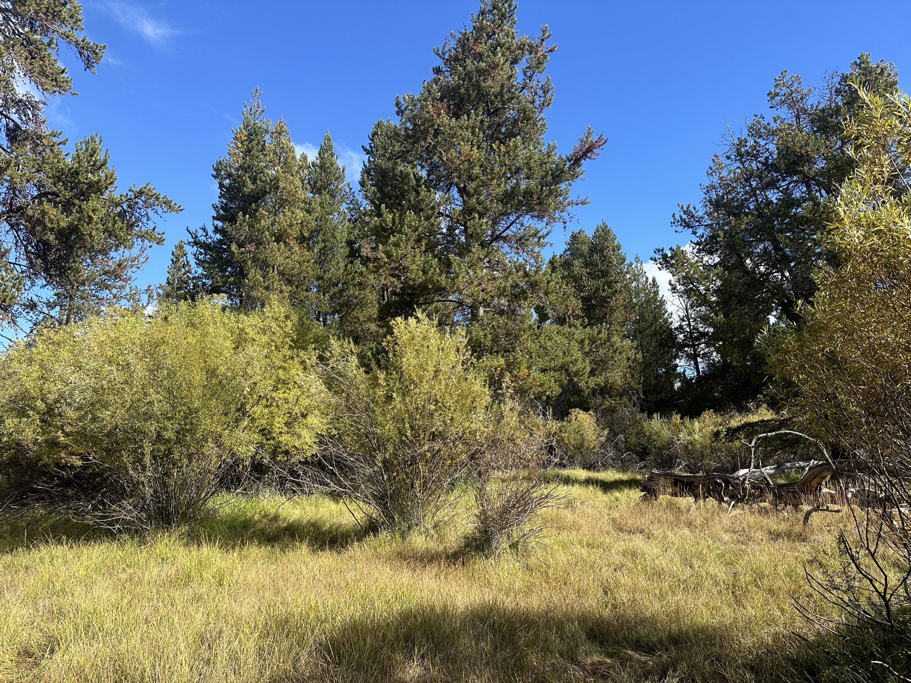 Lapine Acres - Land