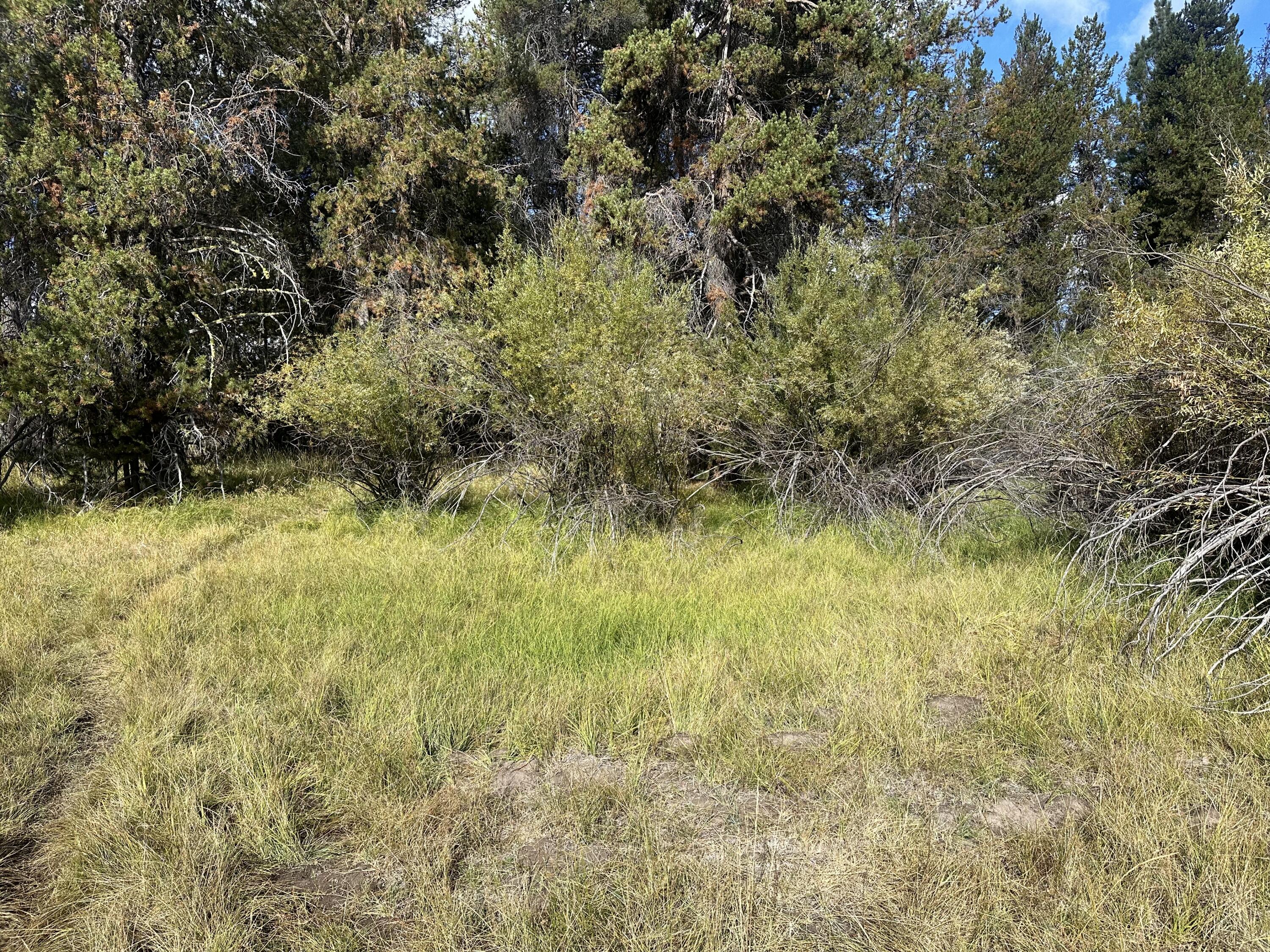 Lapine Acres - Land