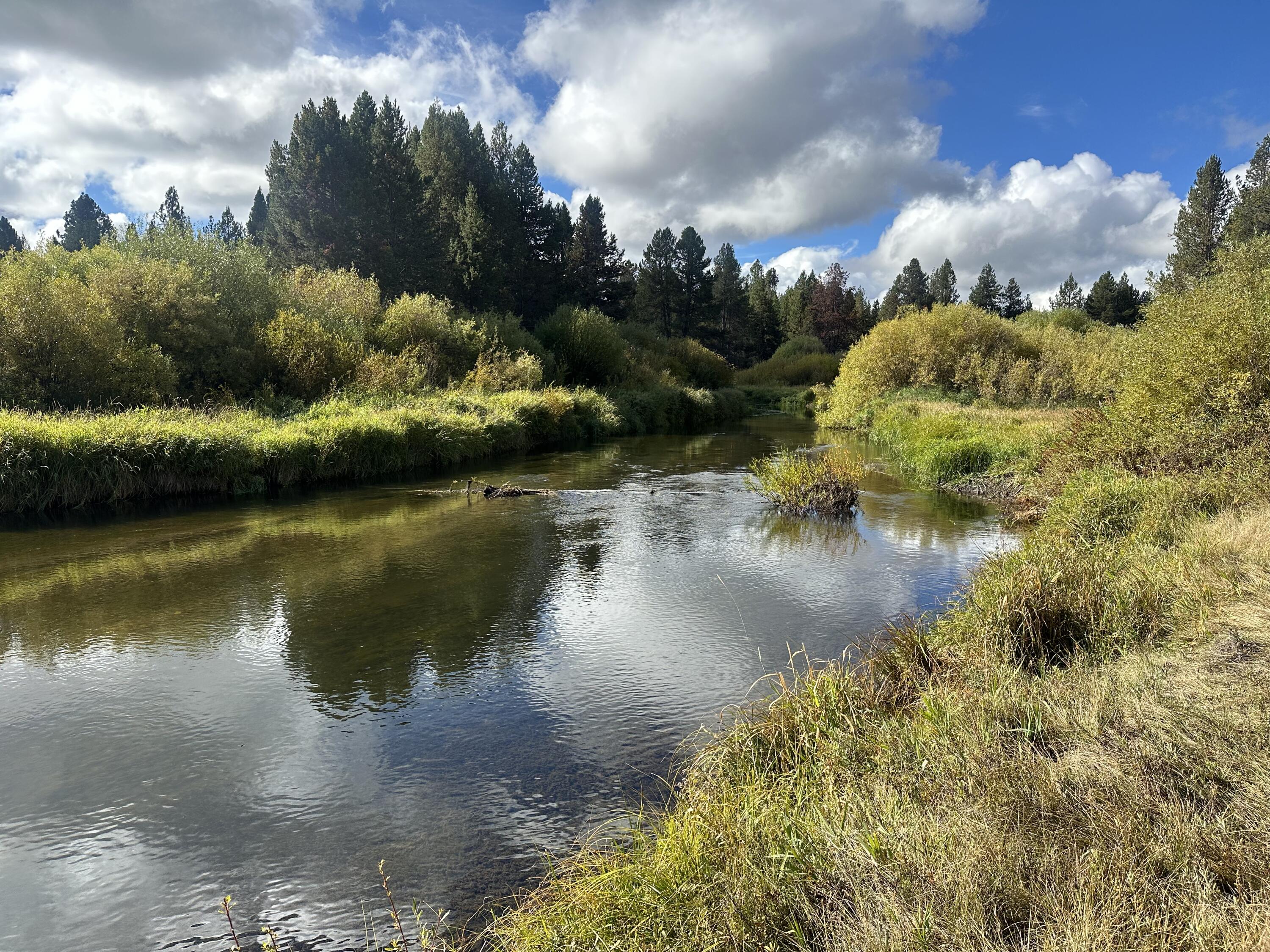 Lapine Acres - Land