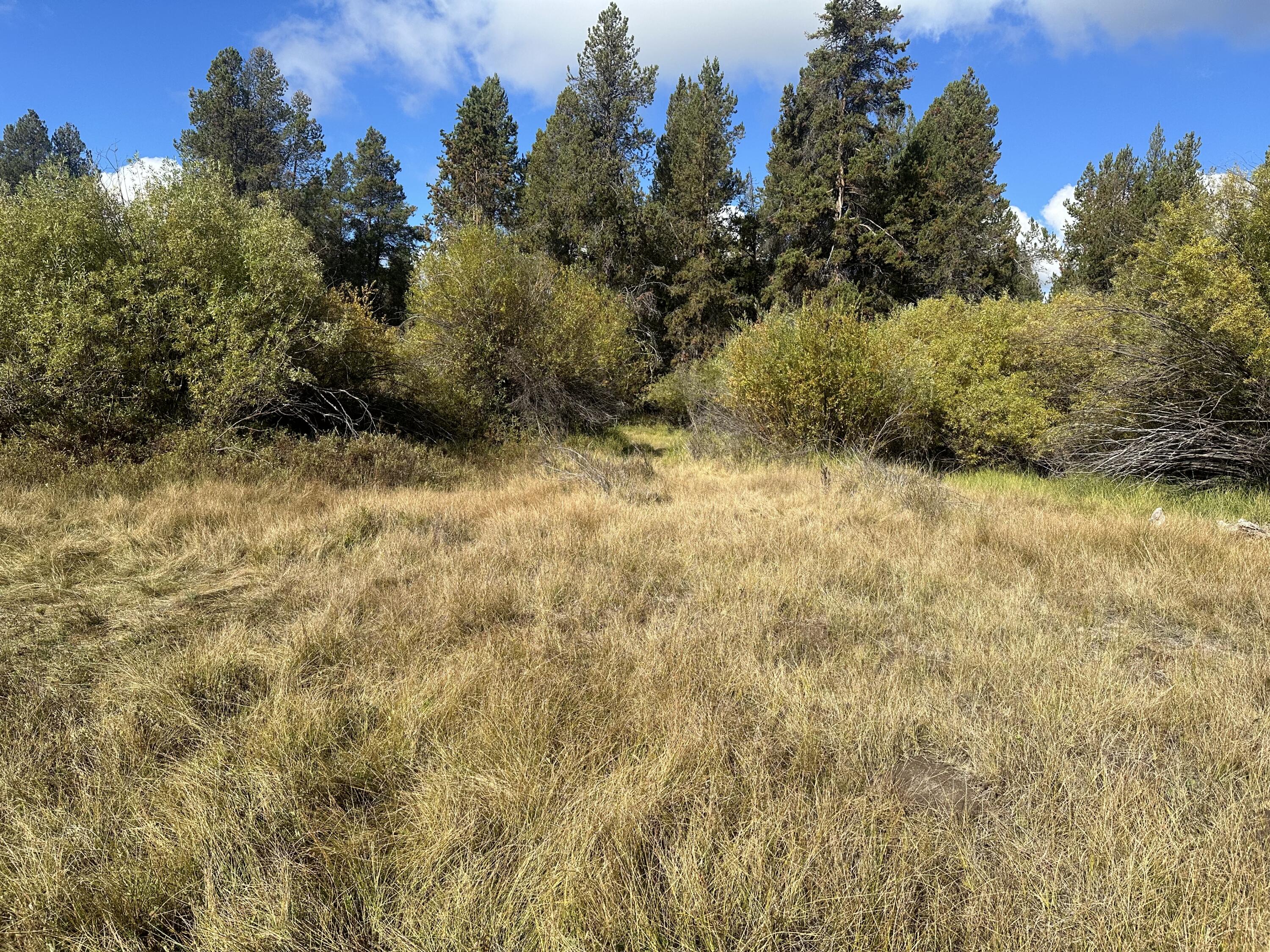 Lapine Acres - Land