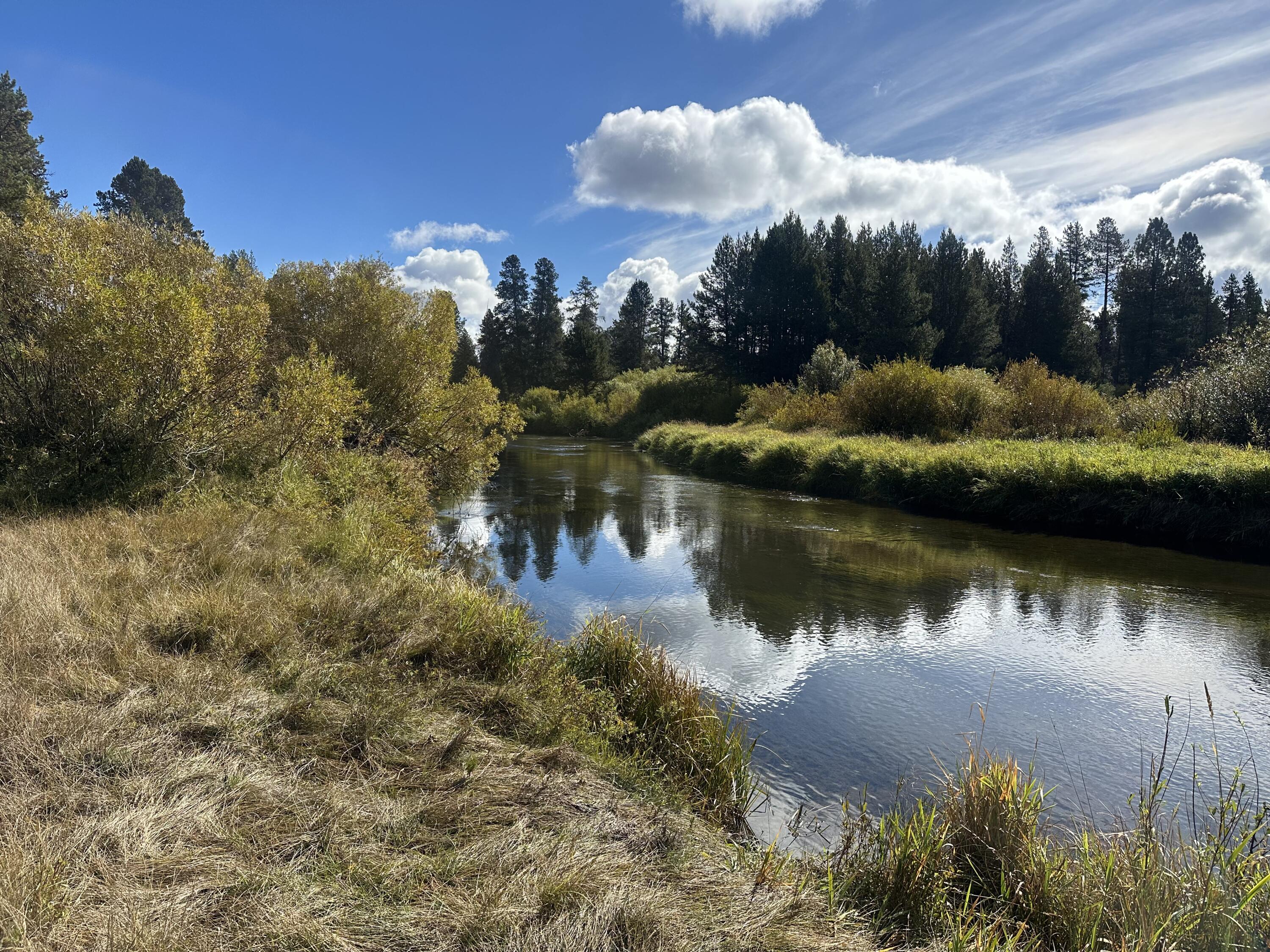 Lapine Acres - Land