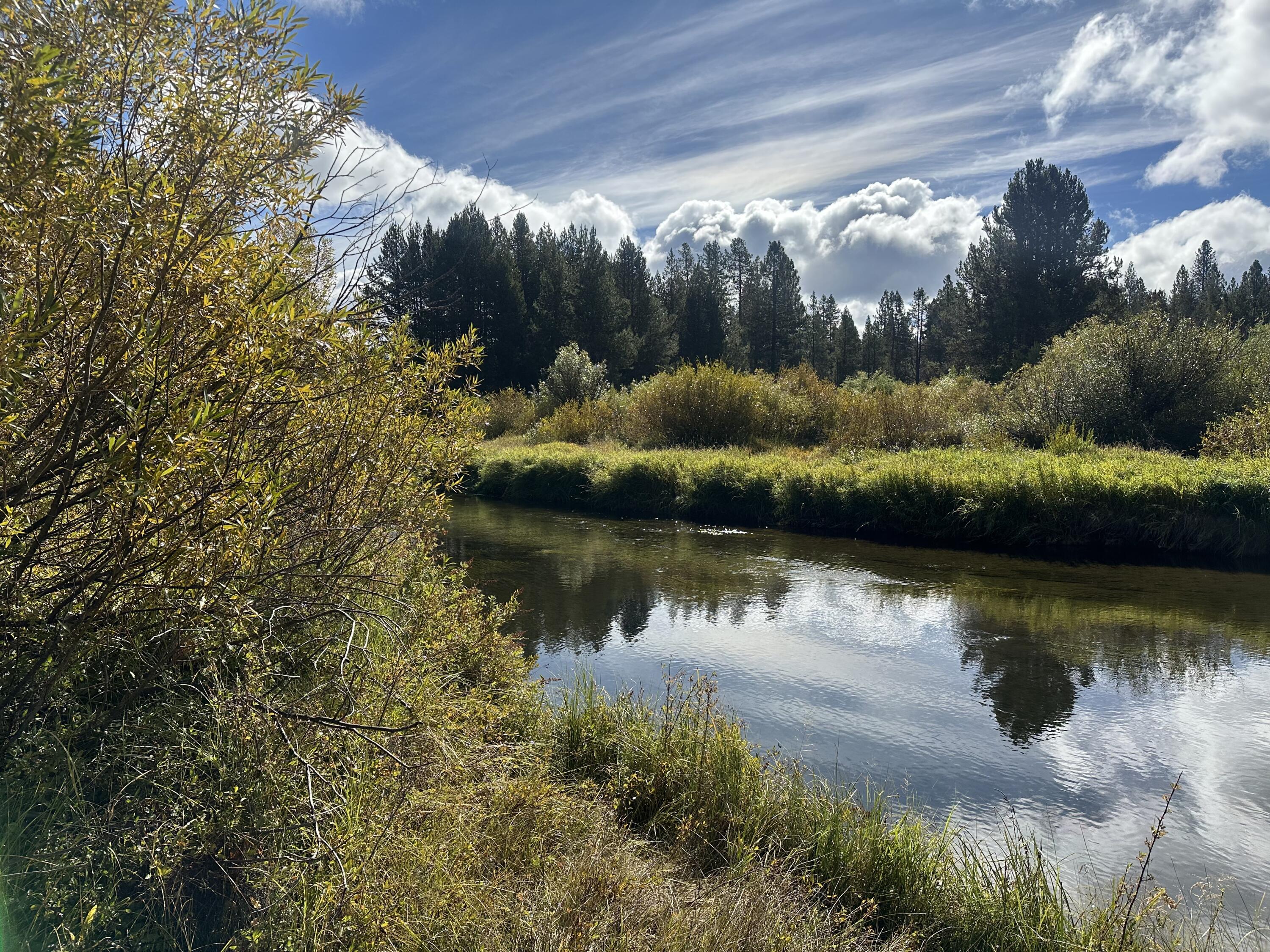 Lapine Acres - Land