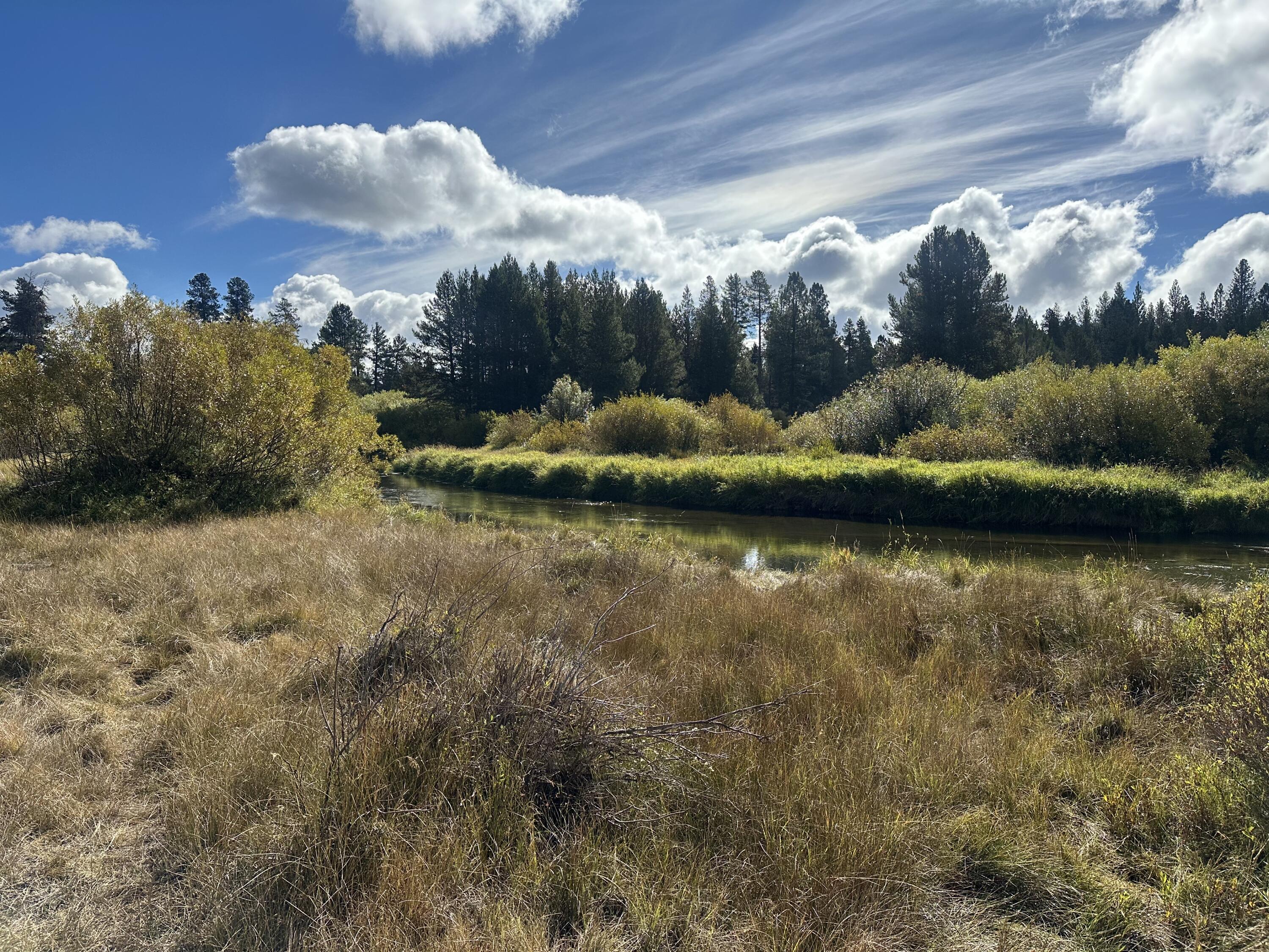 Lapine Acres - Land