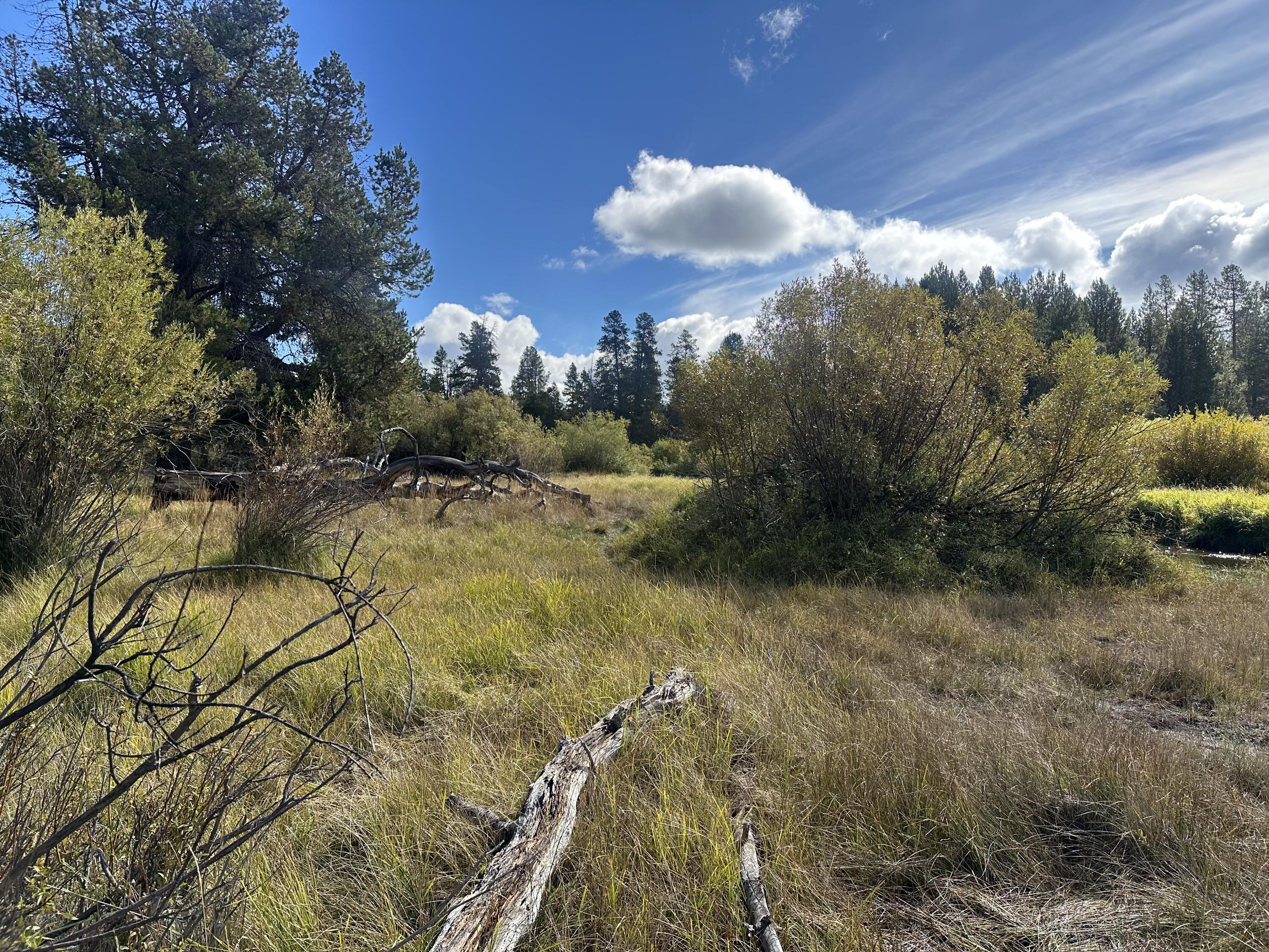 Lapine Acres - Land