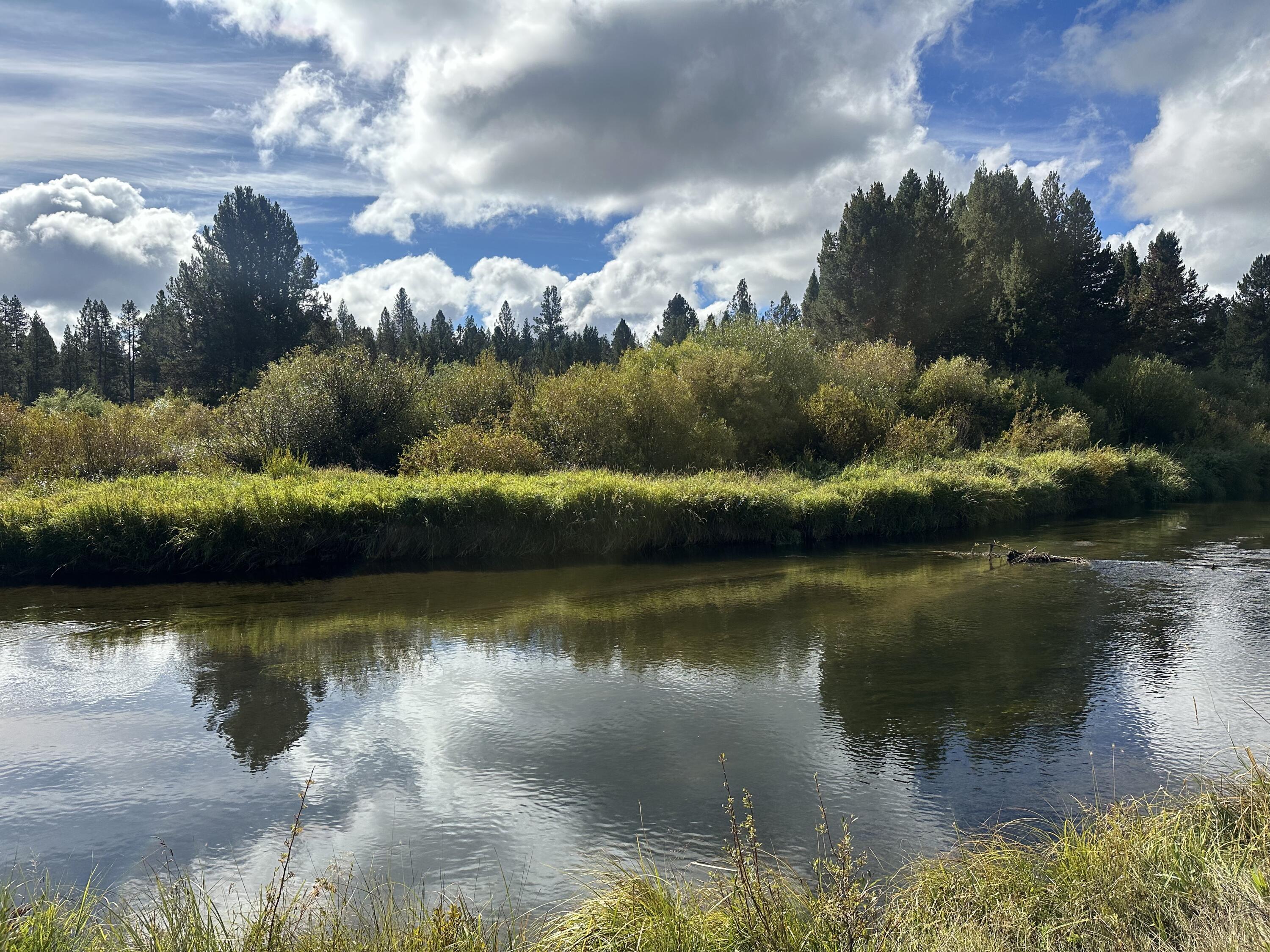 Lapine Acres - Land