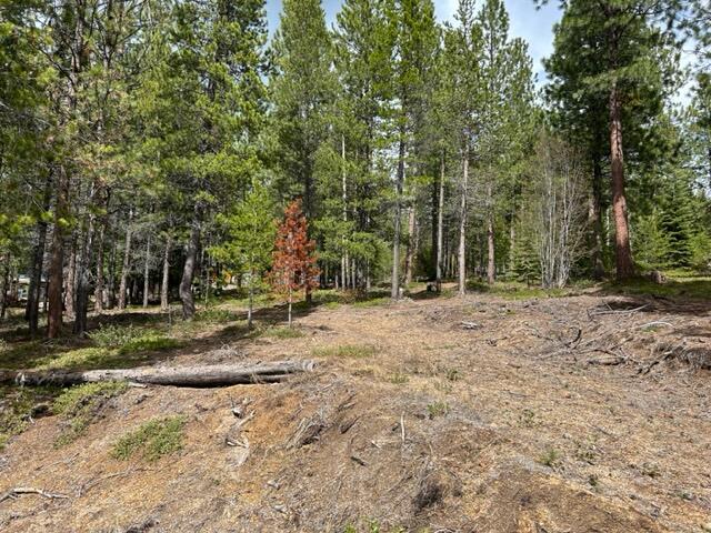 Build your dream home or getaway cabin on this South facing lot.  Located in Diamond Peaks. Views of the Cascade Mtn. range Paved and maintained roads year round. Pacific Crest Trail, Willamette Pass Ski Resort Odell and Crest Lake just minutes away. Easy access to forestland from the subdivision.
