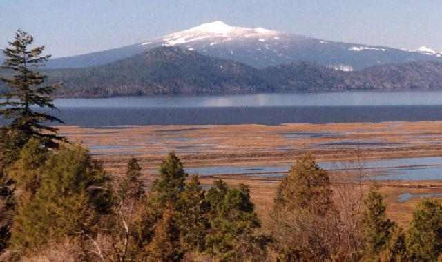 Best Views In Oregon! Paradise Hill 5 Acre Estates. Protective Restrictions.Underground Power/Phone. Paved Main Roads. Gated Community. Near College & Hospital. Gen. Photos Follow. Co-owner Is A Licensed Oregon Broker.