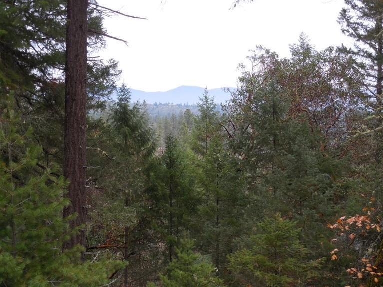 Own your own beautiful private piece of Southern Oregon. This 5.45 acres has so much to offer. From the great mountain views, to over looking your own private spread. There is great soil and enough flat ground to have a nice garden/minifarm and room for some farm critters. The property has home site approval, septic system is installed, 5 GPM spring feed well(is considered a real well by county Water Master) with pump and a 2500 gallon holding tank with a UV purification system and power to the home site, as per seller. There is for the fun at heart, a little rustic cabin or children's play house. Wild life is abundant and you are just over a mile away from the great Salmon/Steelhead fishing at Finley Bend on the mighty Rogue river. Schedule your appointment to go see this property for yourself, bring your imagination and picture your custom built home on this land. No drive byes, property is at the end of a private drive. Possible Owner Carry.