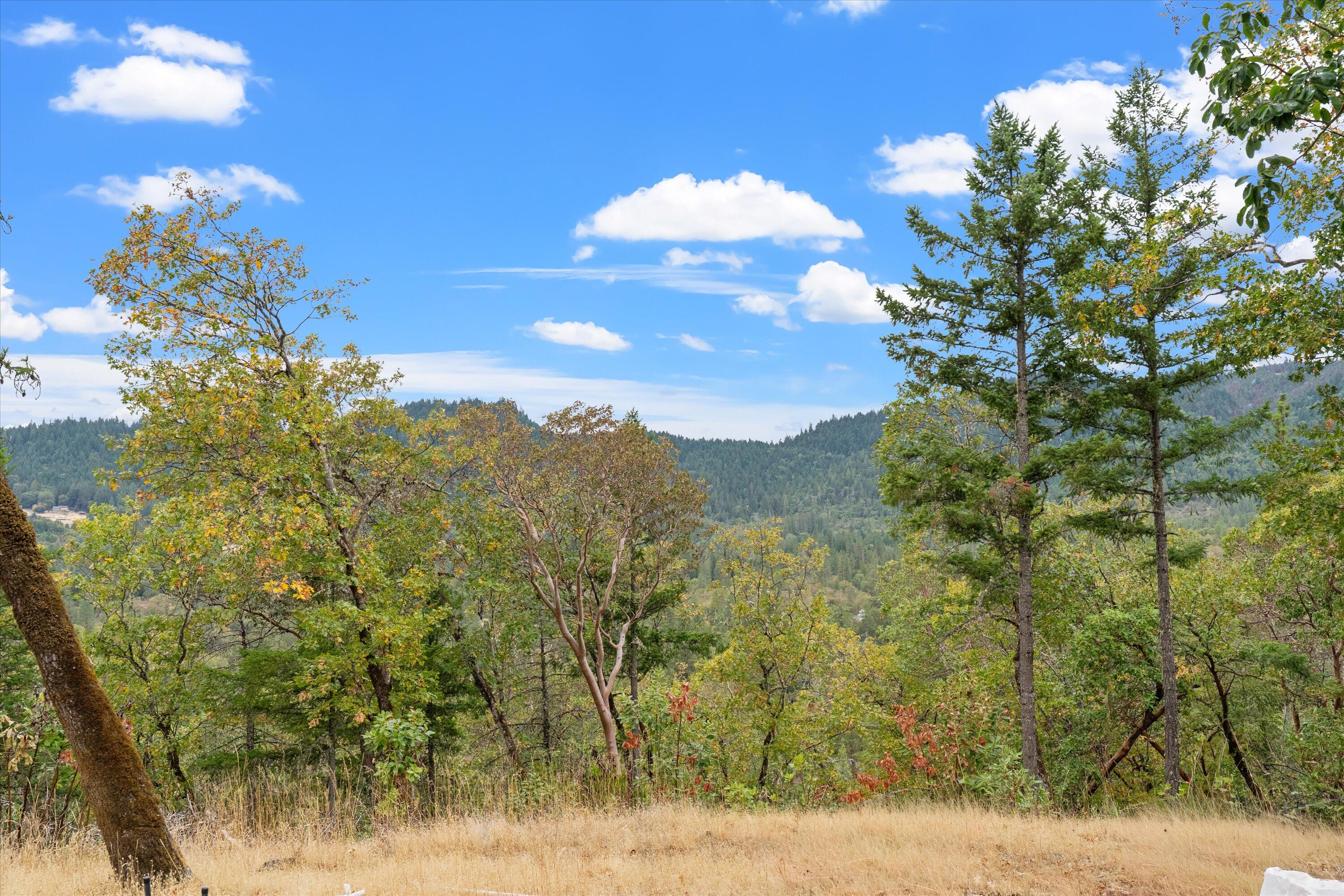 45+ acres with intoxicating views and a cleared pad, ready for new construction! Nestled in the picturesque rolling hills of rural Grants Pass, this property offers exceptional nature views and an abundance of privacy. The approximately 200' diameter clearing (which previously had a manufactured home) offers a mostly level surface. The site may be ideal for a new manufactured home or a brand-new dream home! An additional clearing offers the opportunity to build a barn, shop, or space to relax and take in the views. The location is less than 3-miles from I-5, making it the perfect location to feel far away with the convenience of an easy commute or trip to town.