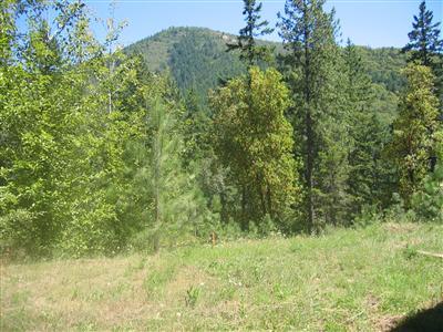 View property with some flat ground. Live in 2Bdr,2Bth, 1152 Sqft. mobile while you build, newer floor coverings, underground utilities and a good well per owner, was tested at 30GPM. All in the desirable Applegate area. Sold as is mobile home does not meet set backs.