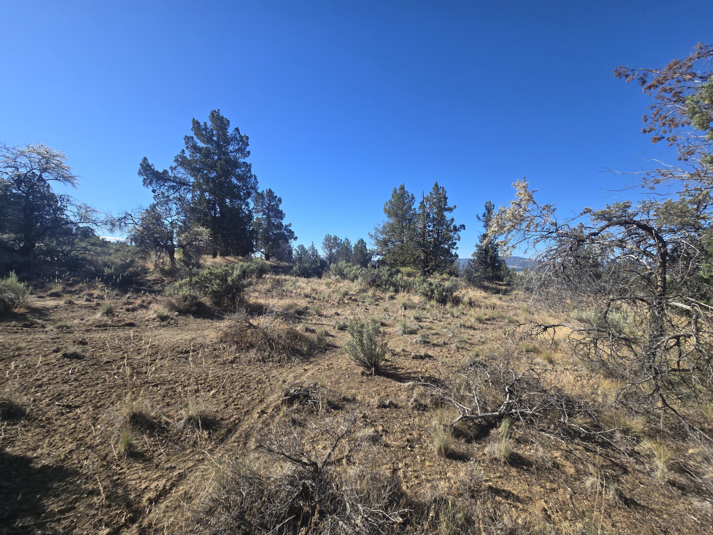 Klamath Falls Forest Estates -Hwy 66 Unit -Plat No. 1 - Land