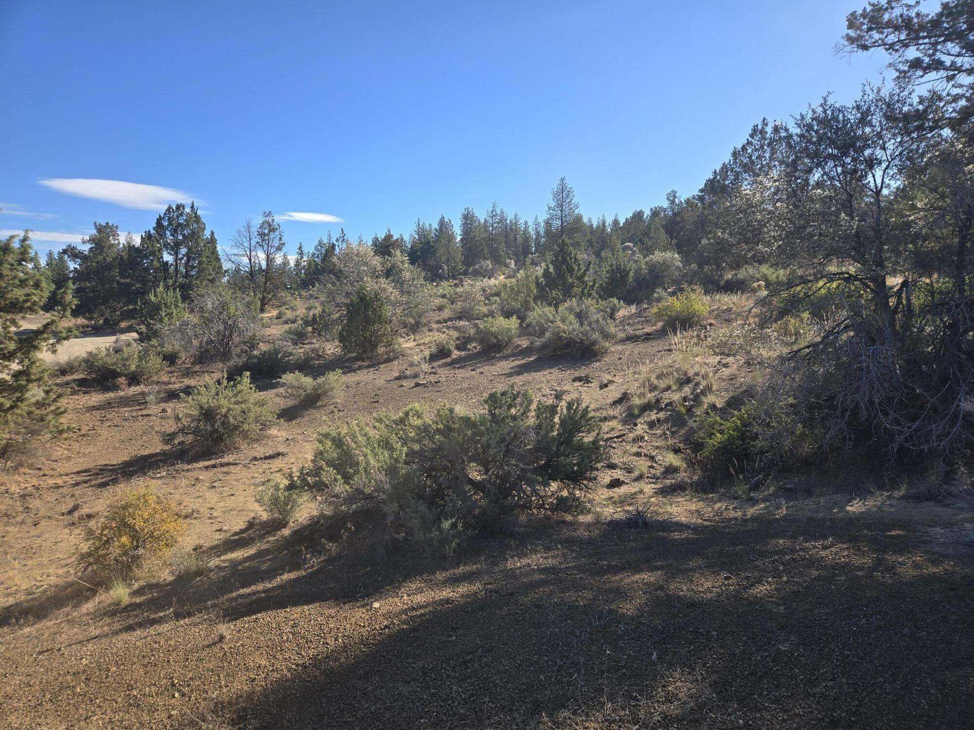 Klamath Falls Forest Estates -Hwy 66 Unit -Plat No. 1 - Land