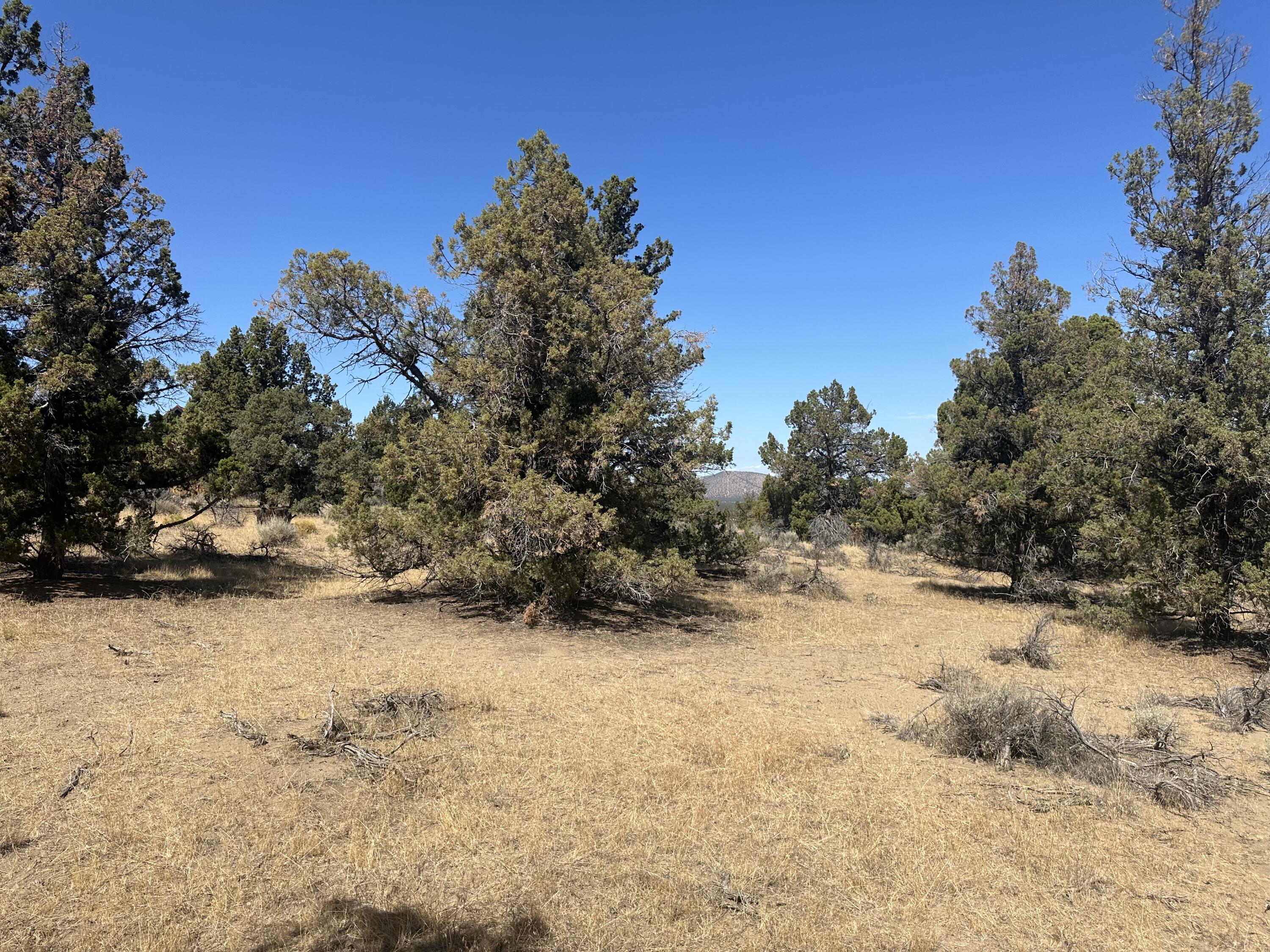 Discover the perfect opportunity at 21060 Arid Ave, Bend, OR. This expansive 6.95-acre property with RR10 zoning offers endless possibilities for development or personal use. 10 miles from the Bend airport. Centrally located to many hiking trails and outdoor recreation. Embrace the serene landscape and create your dream space today!